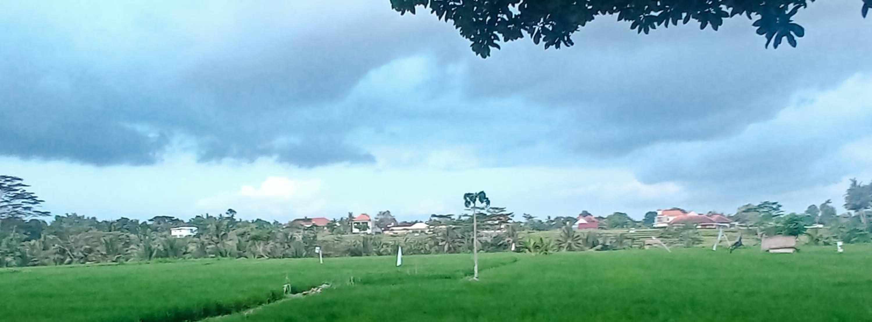 D' Tegal House view 5