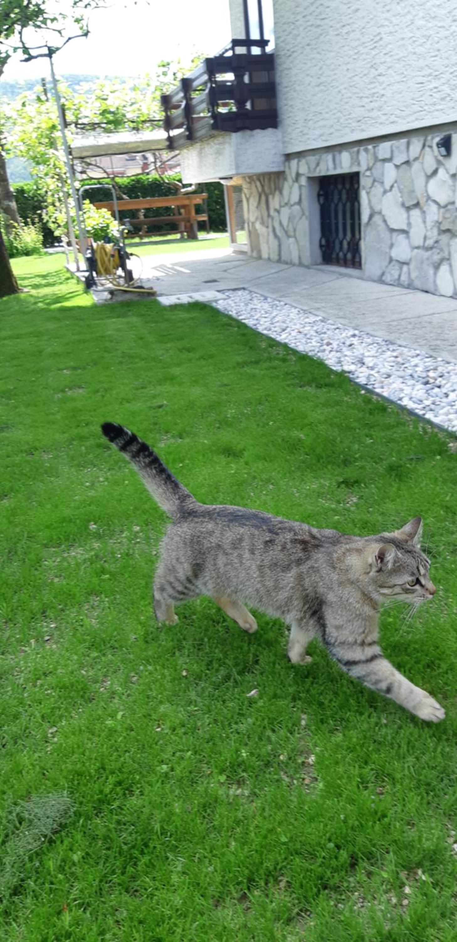 Photo 44