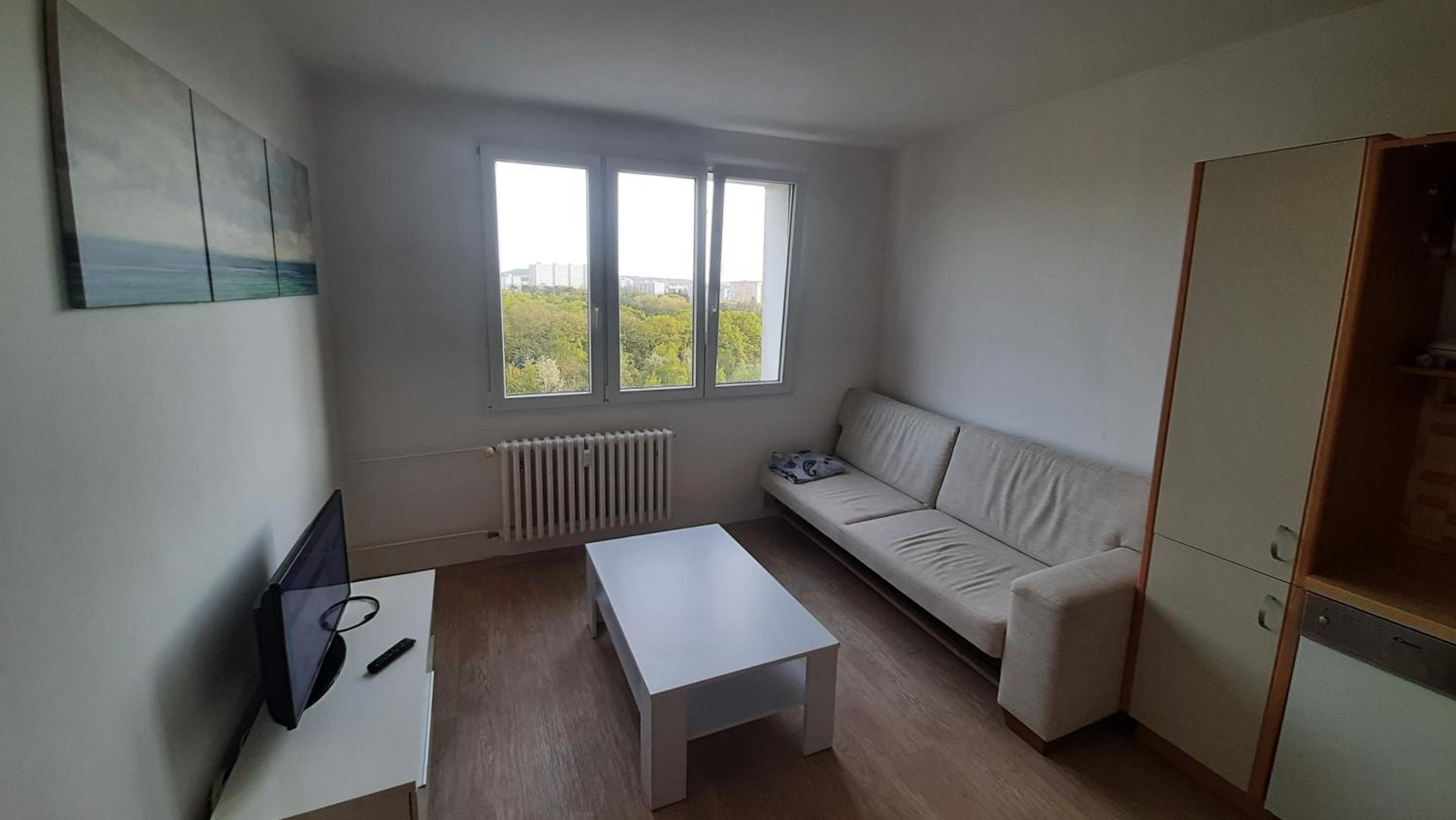 Apartment Kamýk