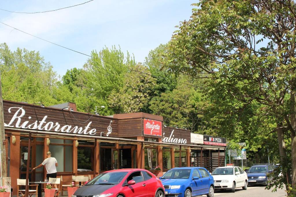 human