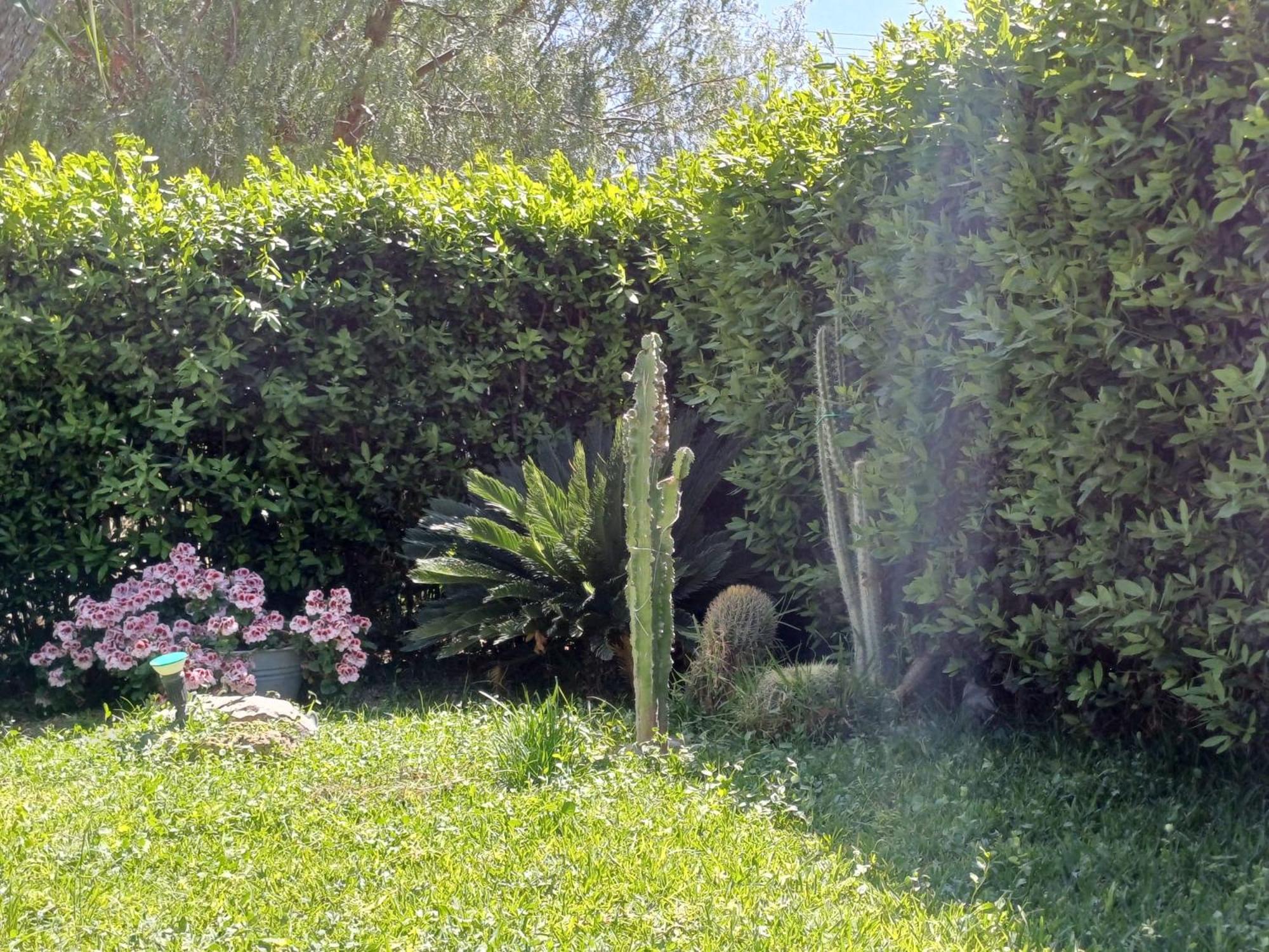 La Virgy per Noto with share swimming pool with wonderful sea view