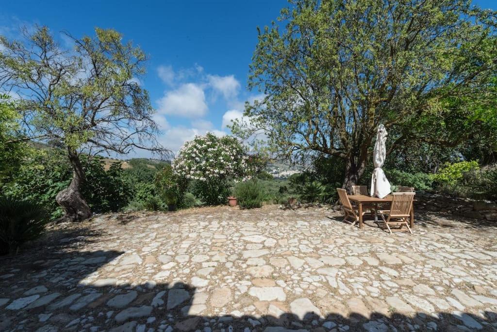 Marotta Chalet