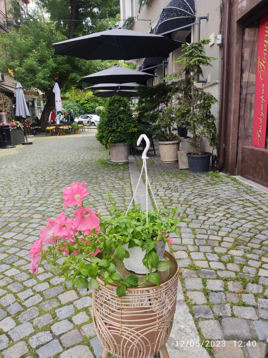 garden