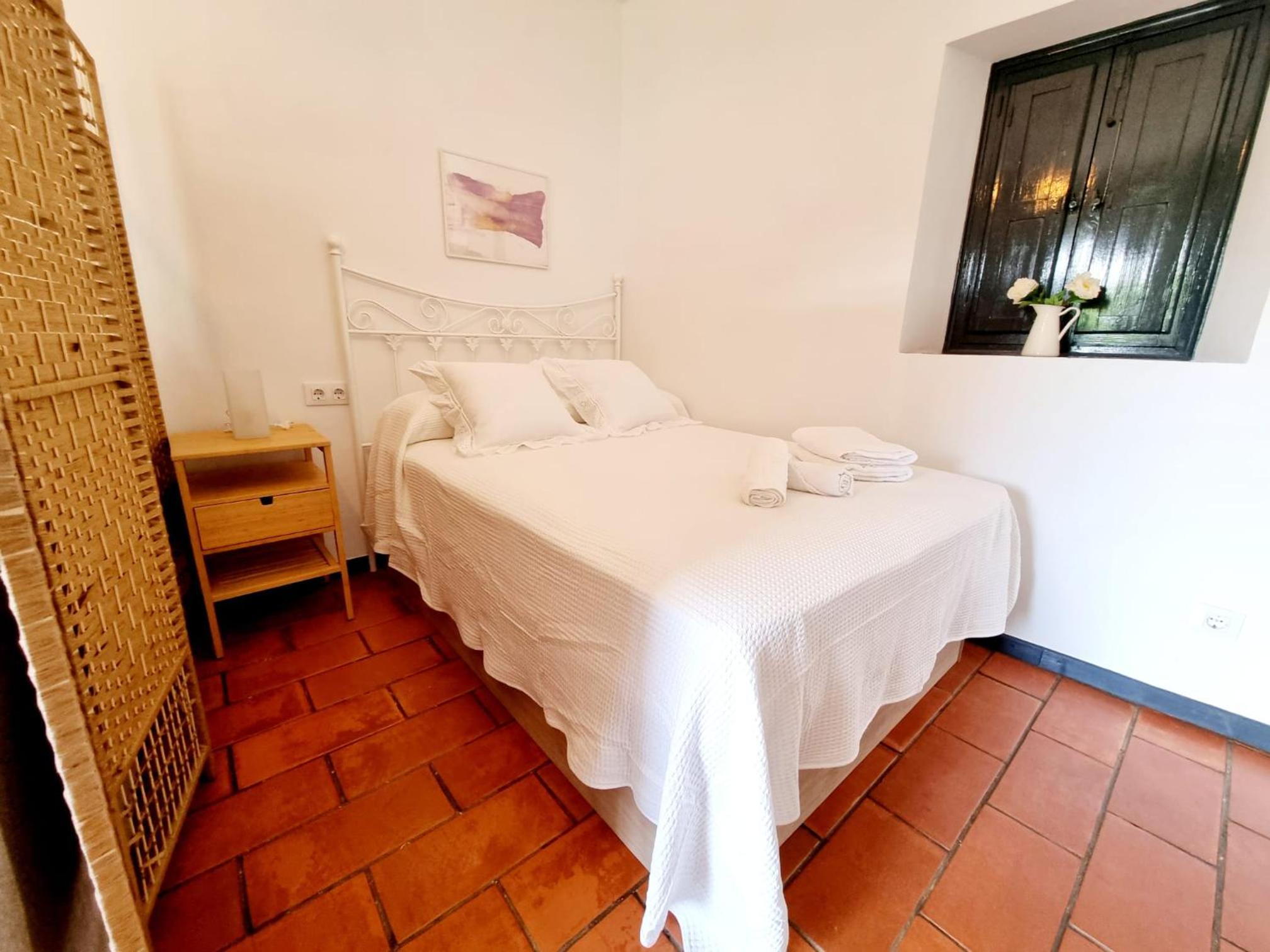 Apartamento con Patio Sevillano