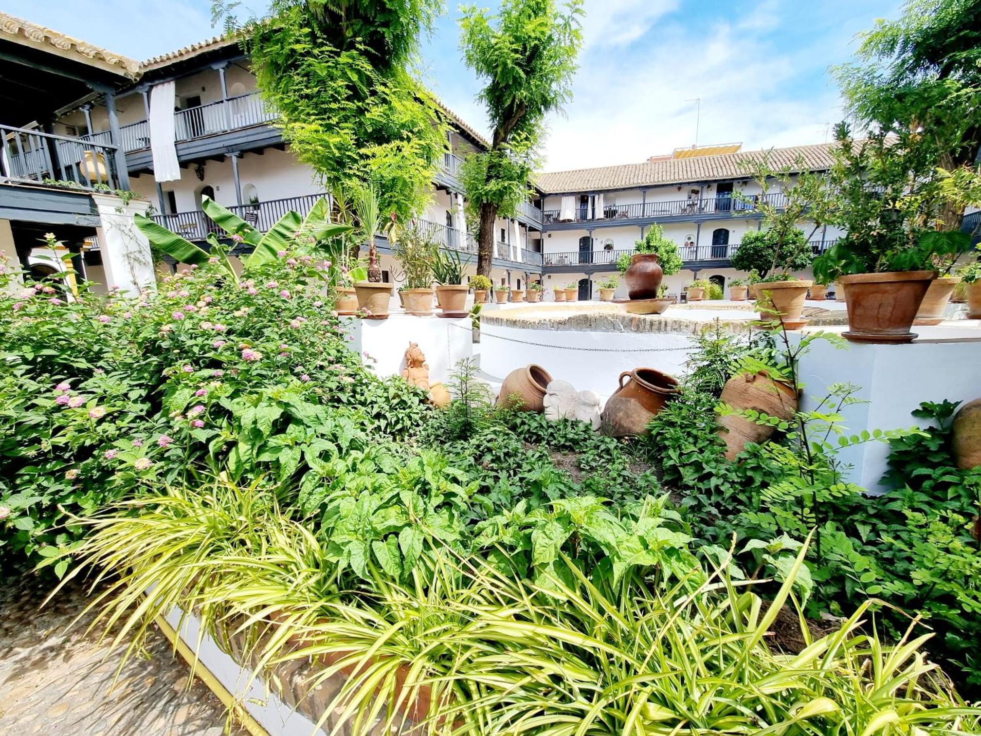 Apartamento con Patio Sevillano