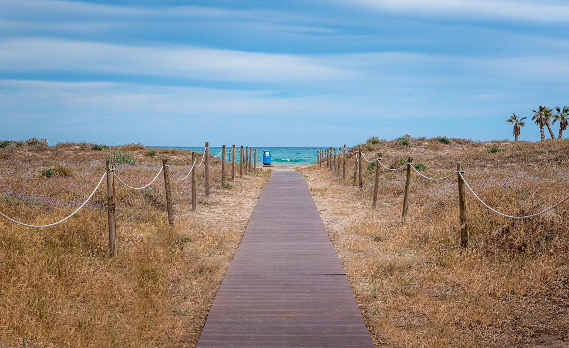 Amplio Canet