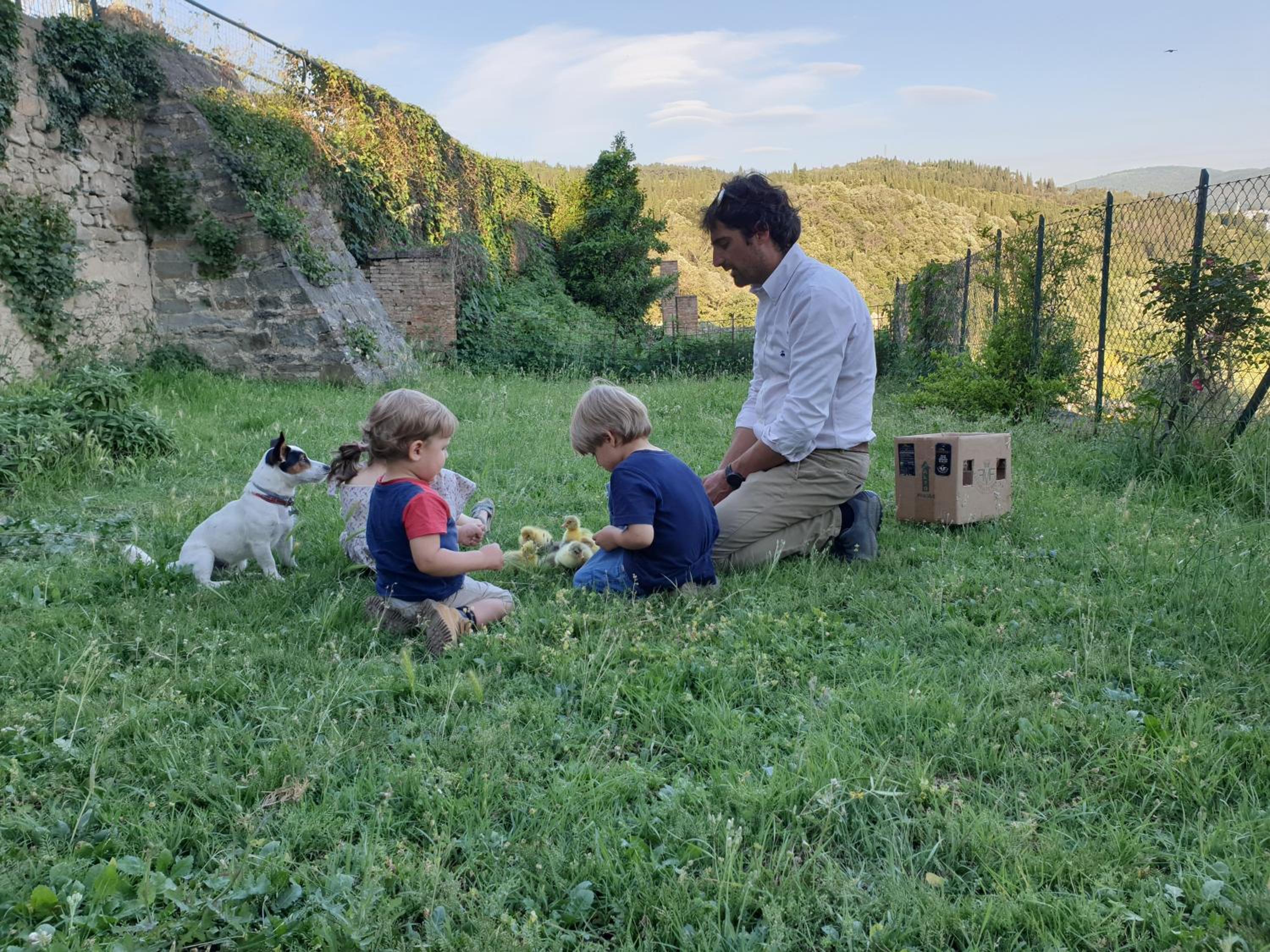 Fattoria di Maiano
