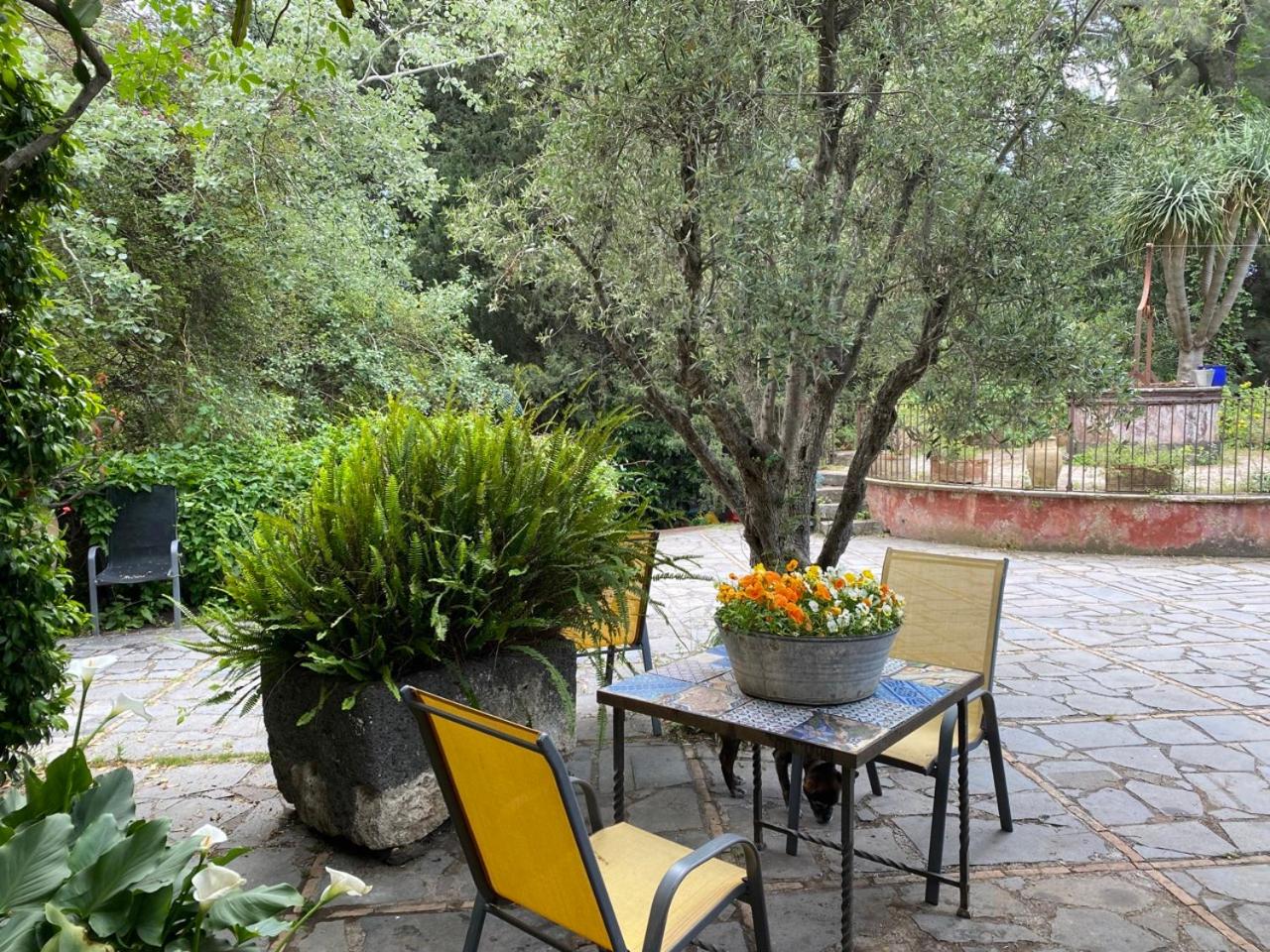 Etna Botanic Garden