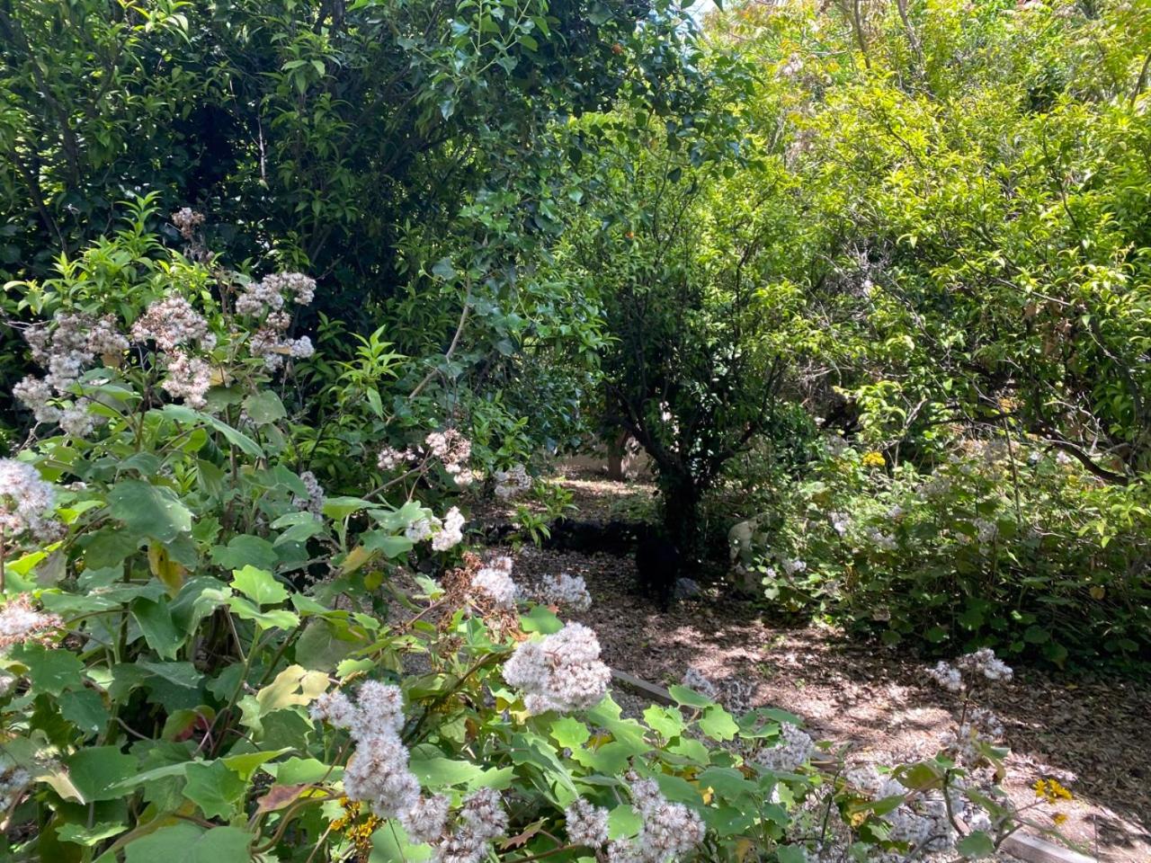Etna Botanic Garden