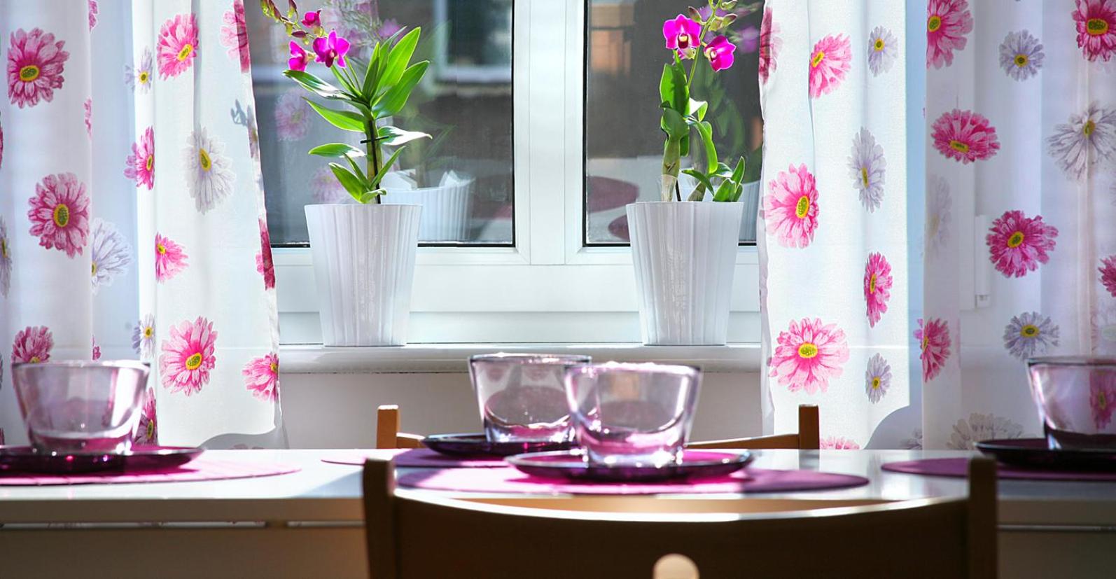 Apartamenty Pomarańczarnia