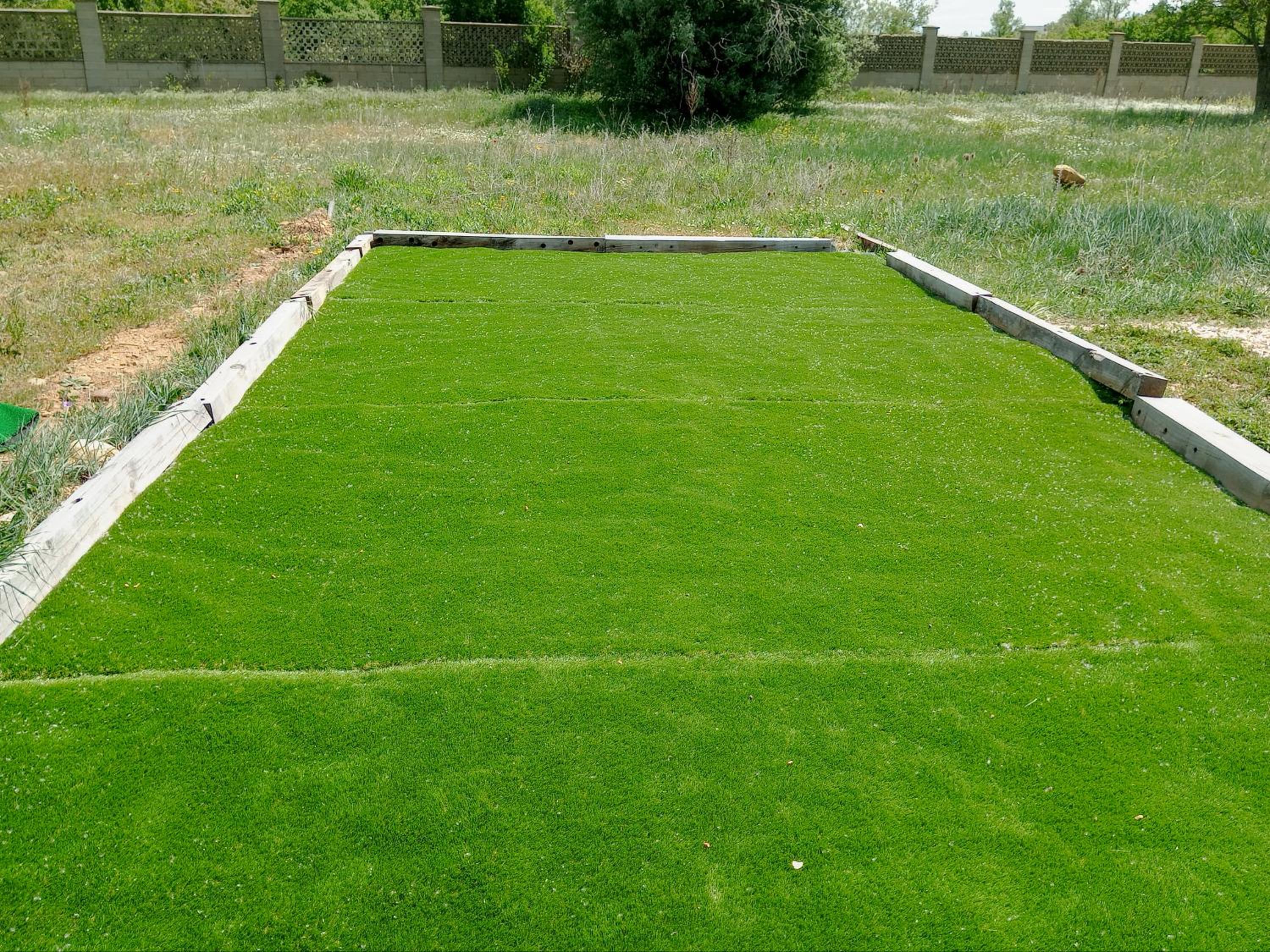 other