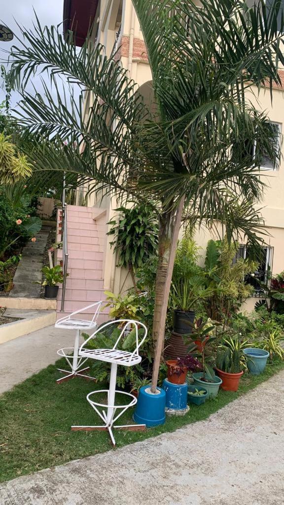 Soul Travellers Dagatan Guesthouse