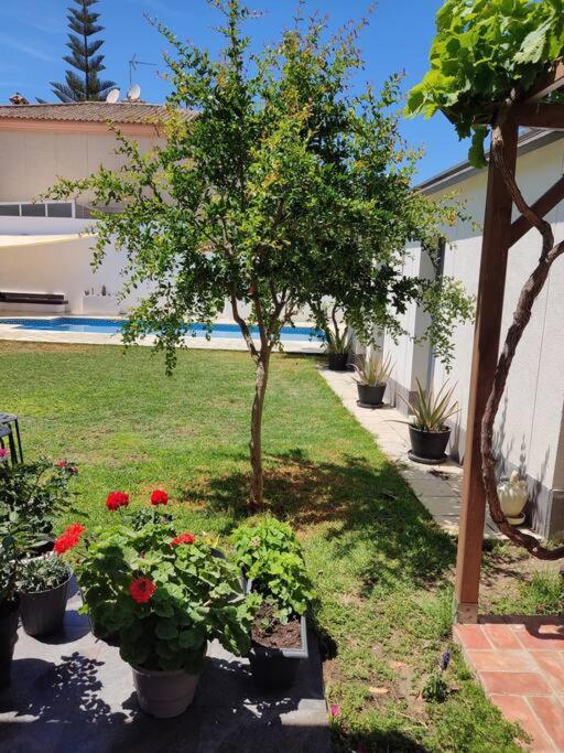 Chalet con piscina