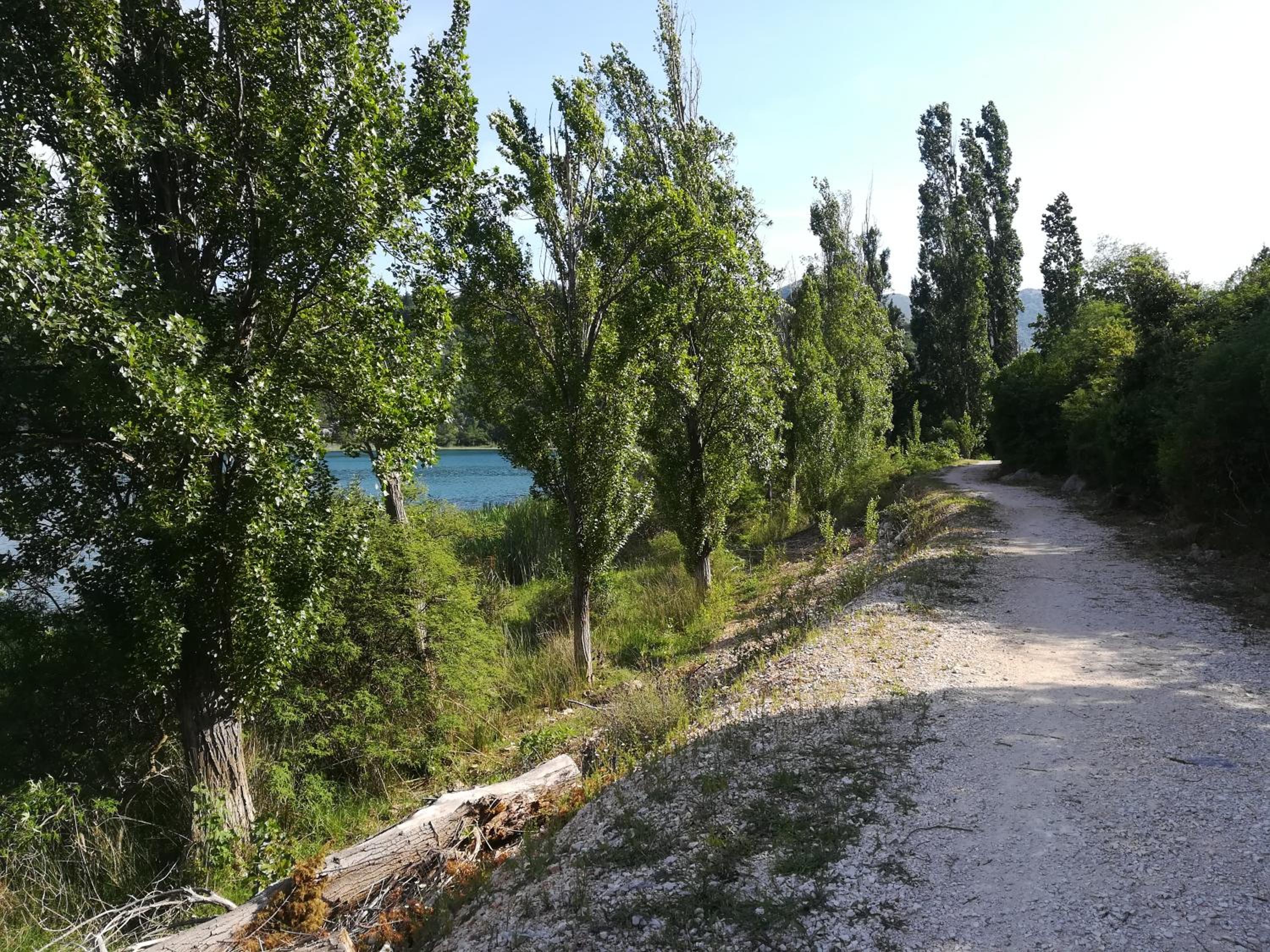 Photo 18