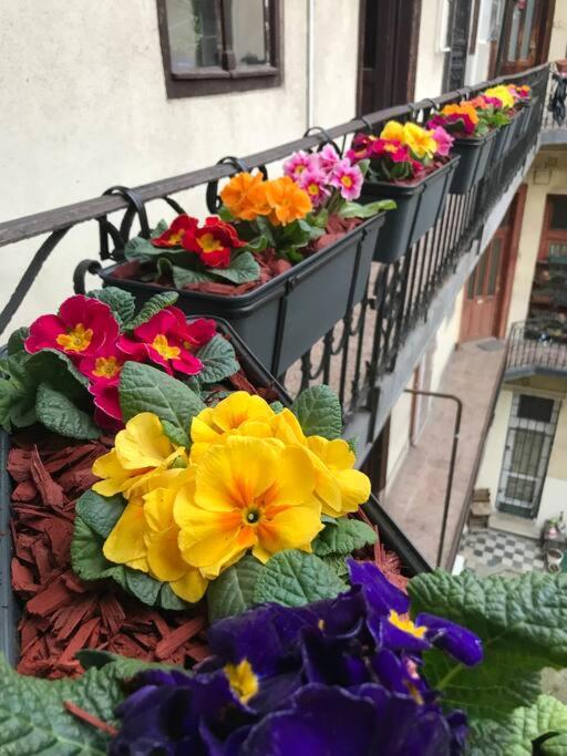 Delightful apartment in the city , we would love to welcome you to our large, modern, and quiet apartment with AC and High Speed Internet,walking distance  view 4