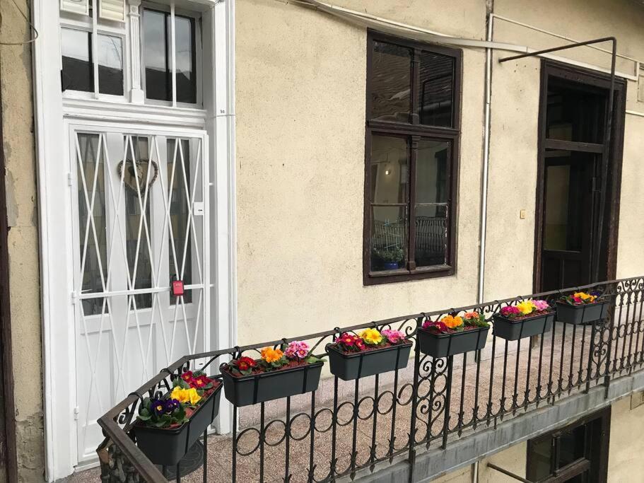 Delightful apartment in the city , we would love to welcome you to our large, modern, and quiet apartment with AC and High Speed Internet,walking distance  view 3