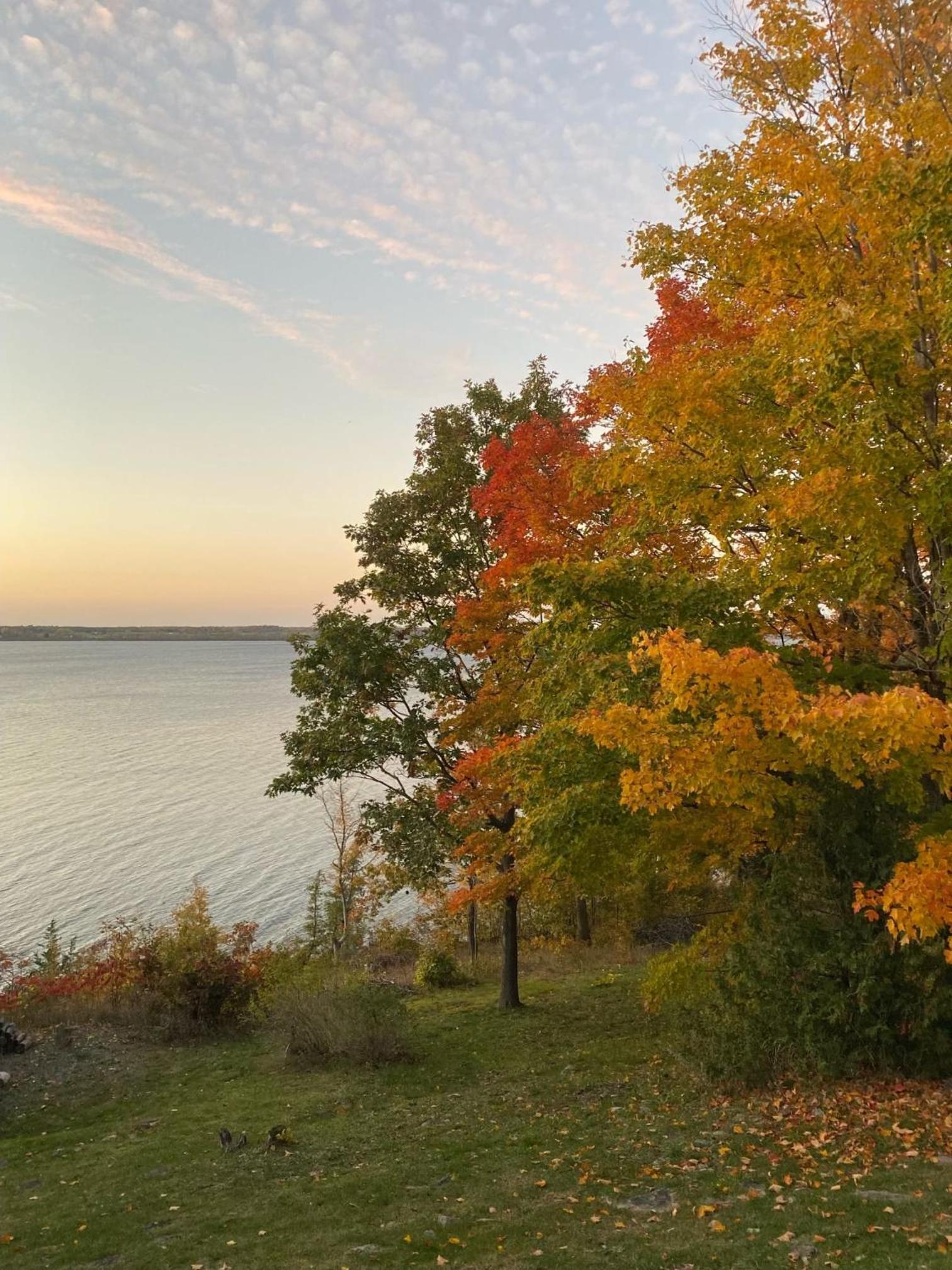 Tanglewood - Large Waterfront Home in PEC ST-2020-0172