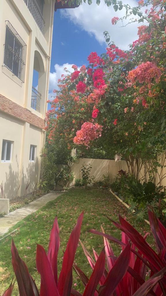 Soul Travellers Dagatan Guesthouse