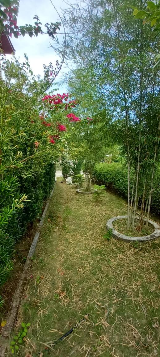 Soul Travellers Dagatan Guesthouse
