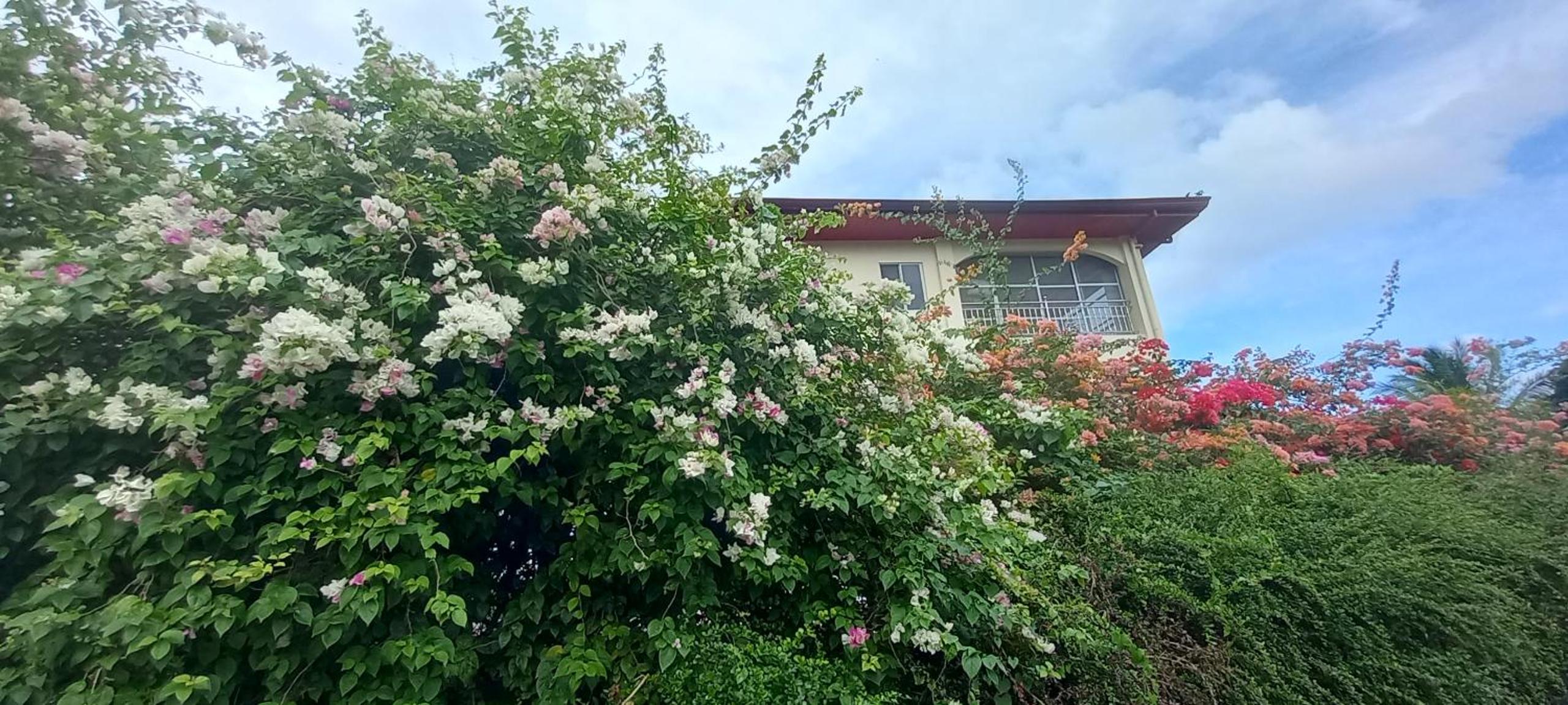 Soul Travellers Dagatan Guesthouse
