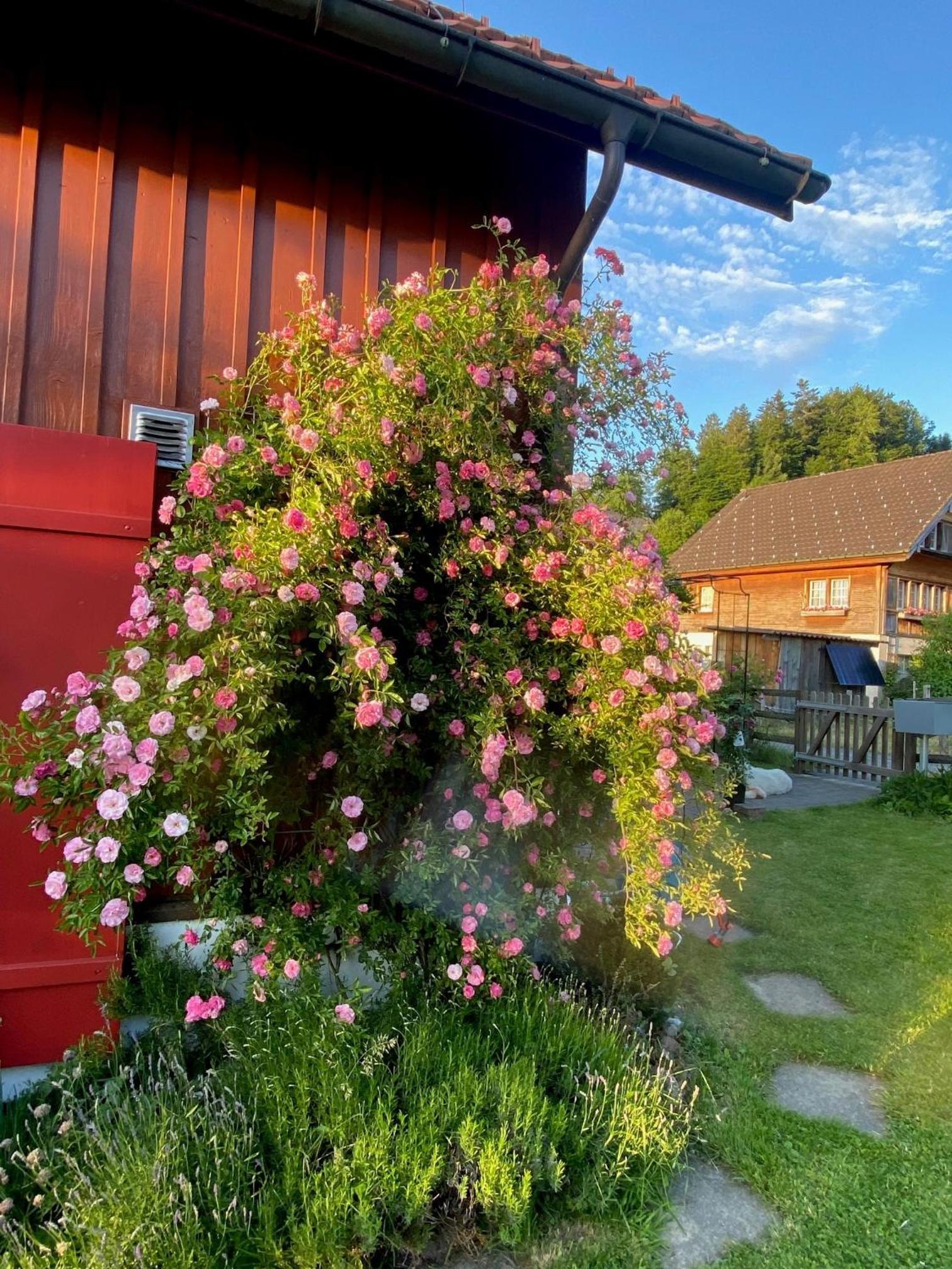 Doppelzimmer in charmantem B&B