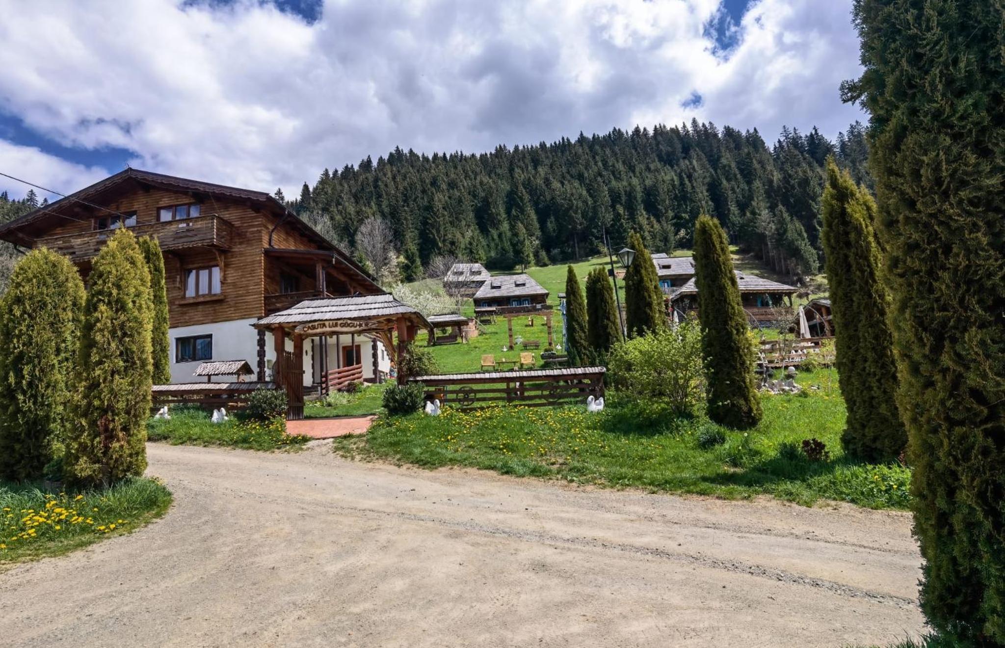 Căsuța lui Gogu view 2
