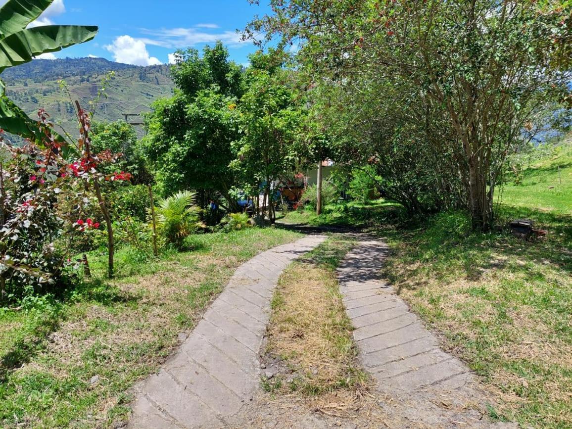 Glamping Cabaña el Porvenir 10601