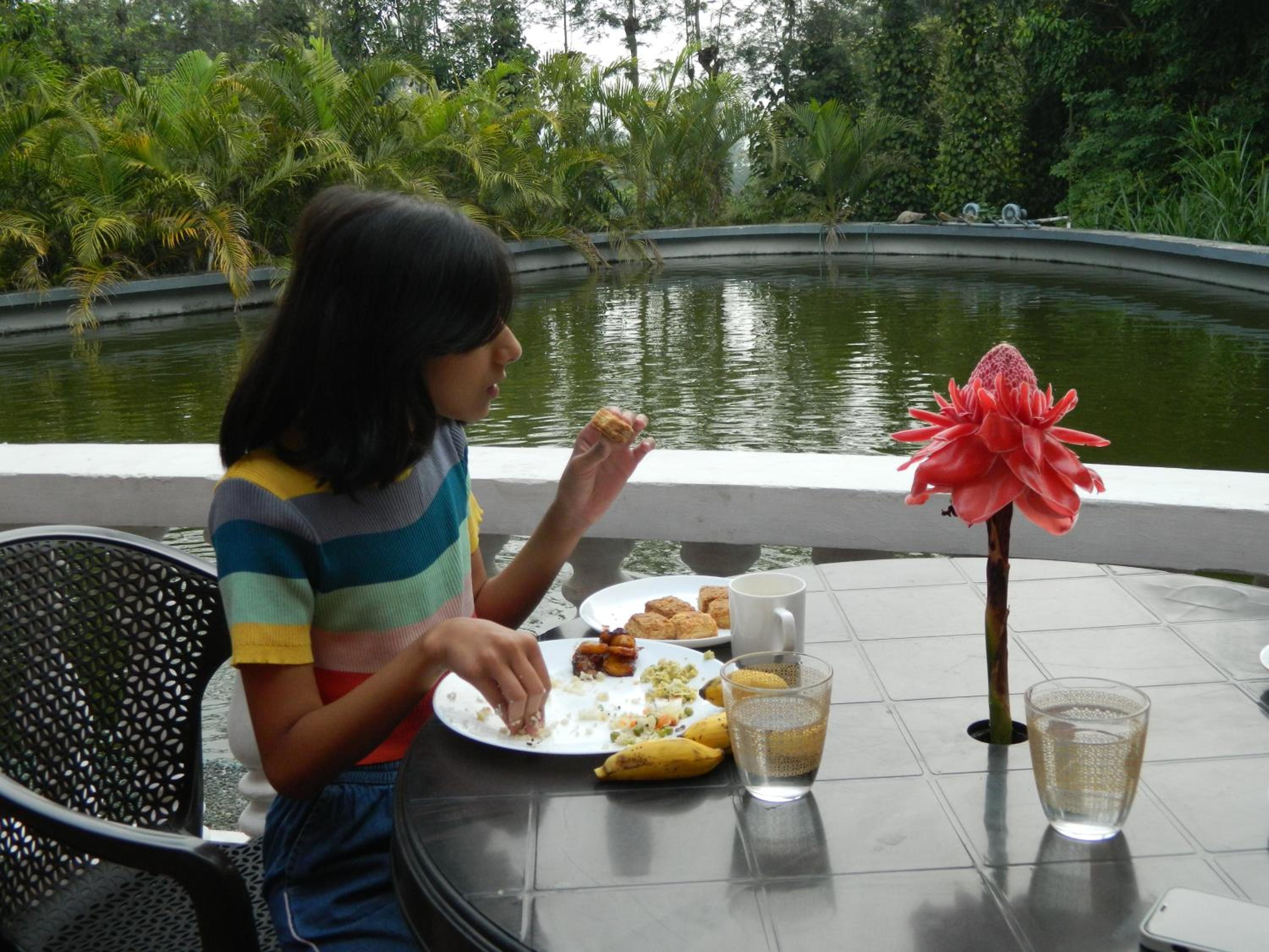 Torch Ginger Homestay