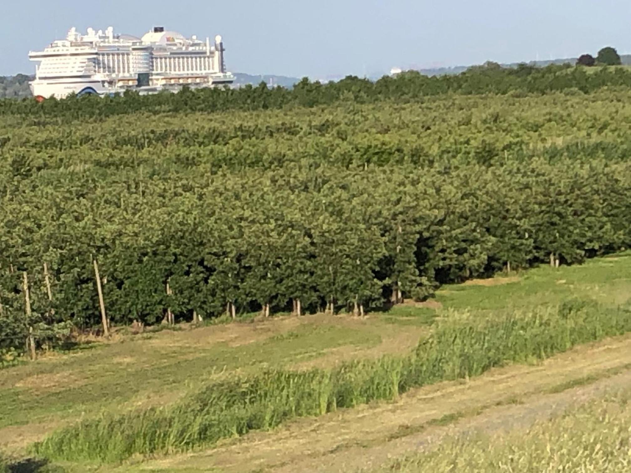 Wohnen im Alten Land