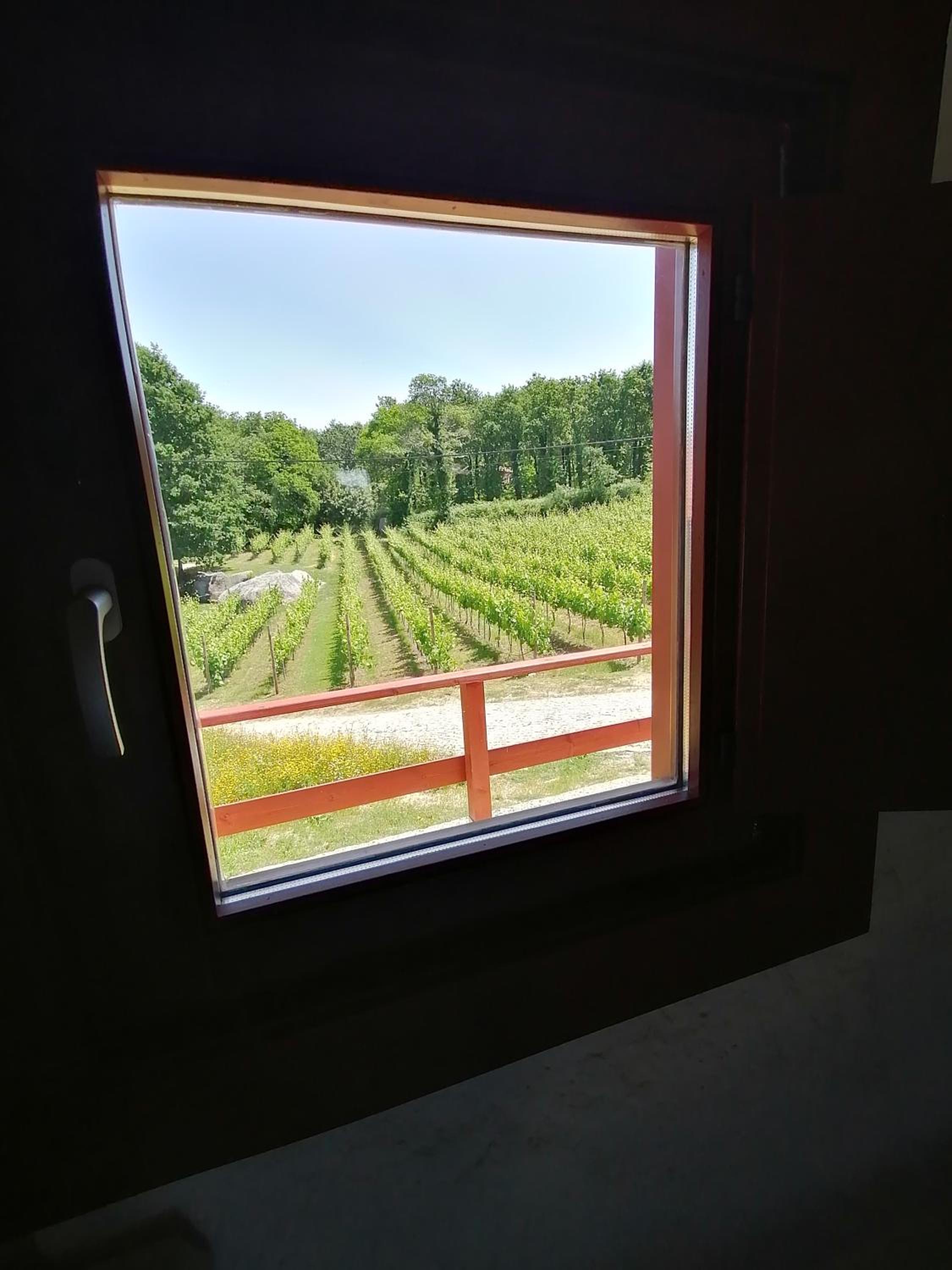 Quinta Pousada de Fora Wines & Tourism view 5