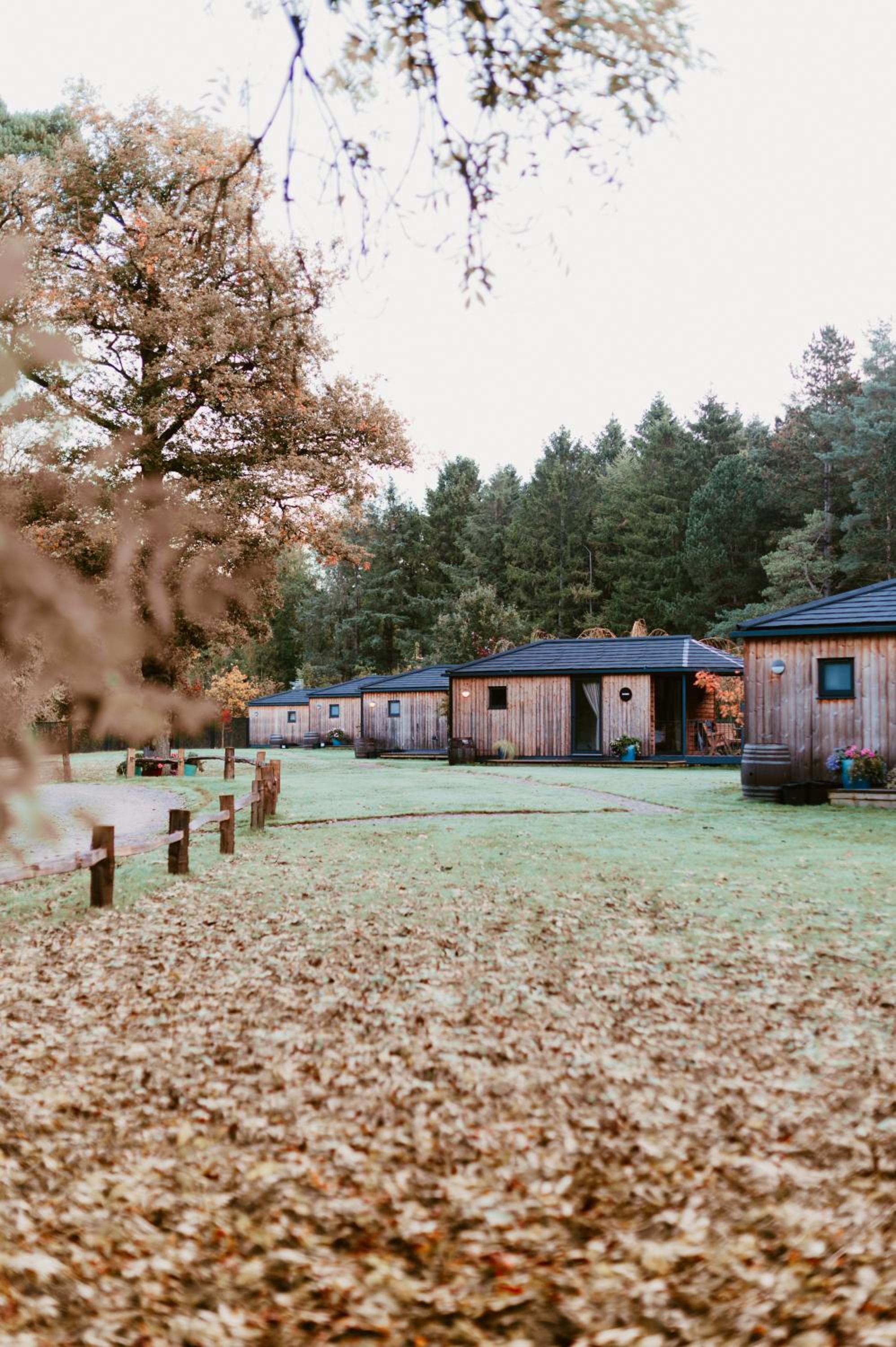 Riverside Cabins