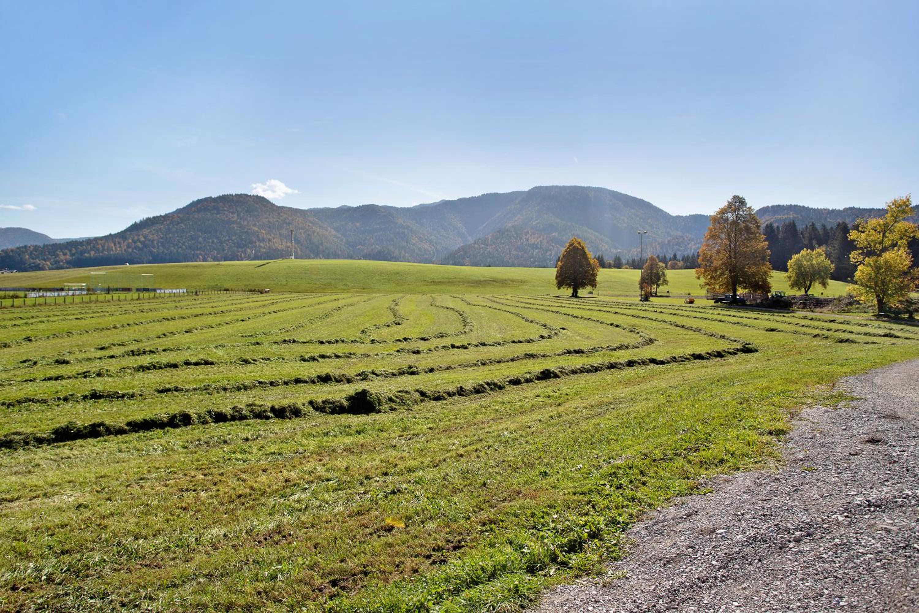 Wohnung Winklmoosalm