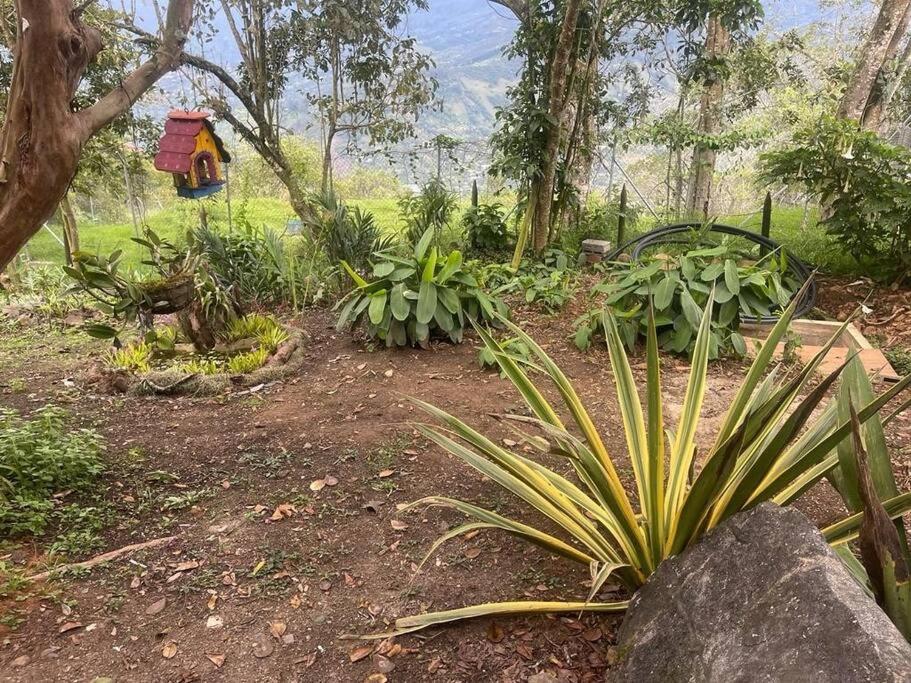 Romántico refugio en la montaña
