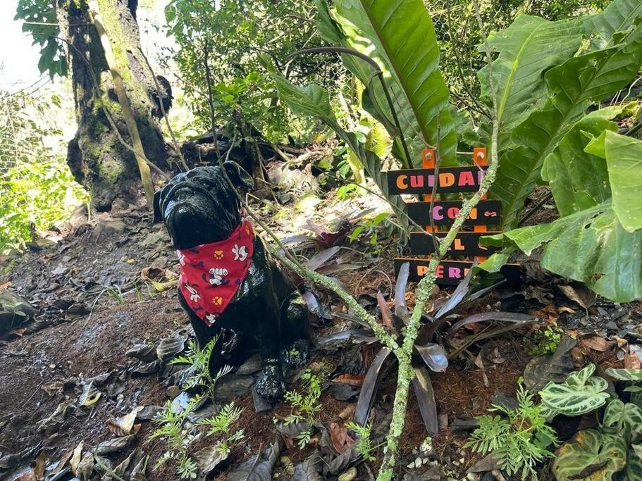 Romántico refugio en la montaña