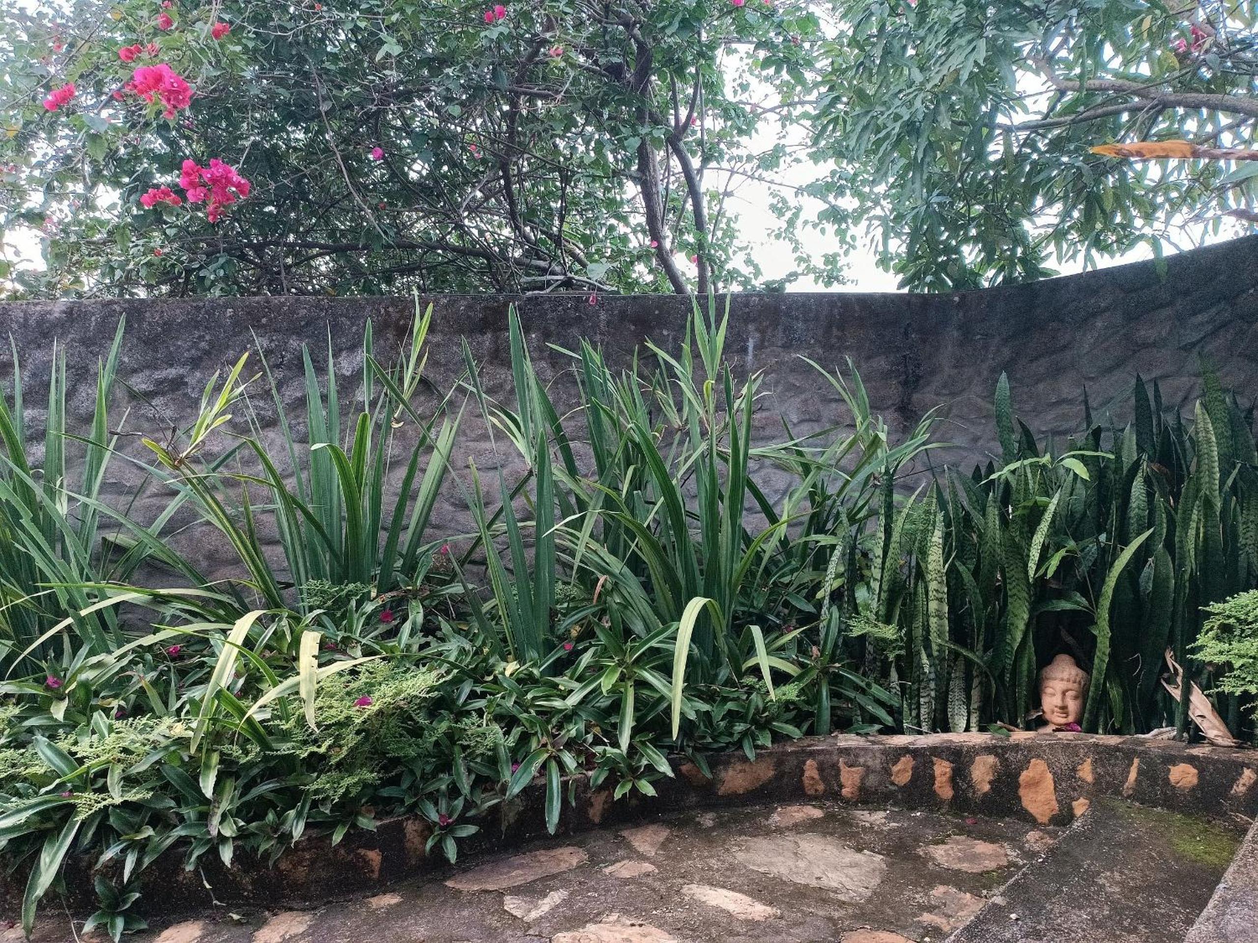 Hospedagem Chácara Encantada - Holiday Homes in the heart of Chapada dos Veadeiros