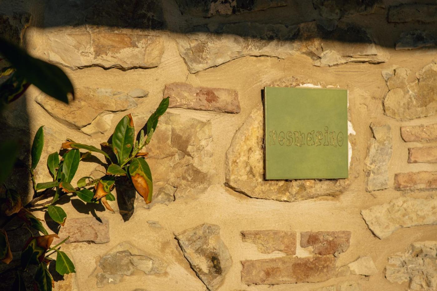 Podere Montale Il Borgo