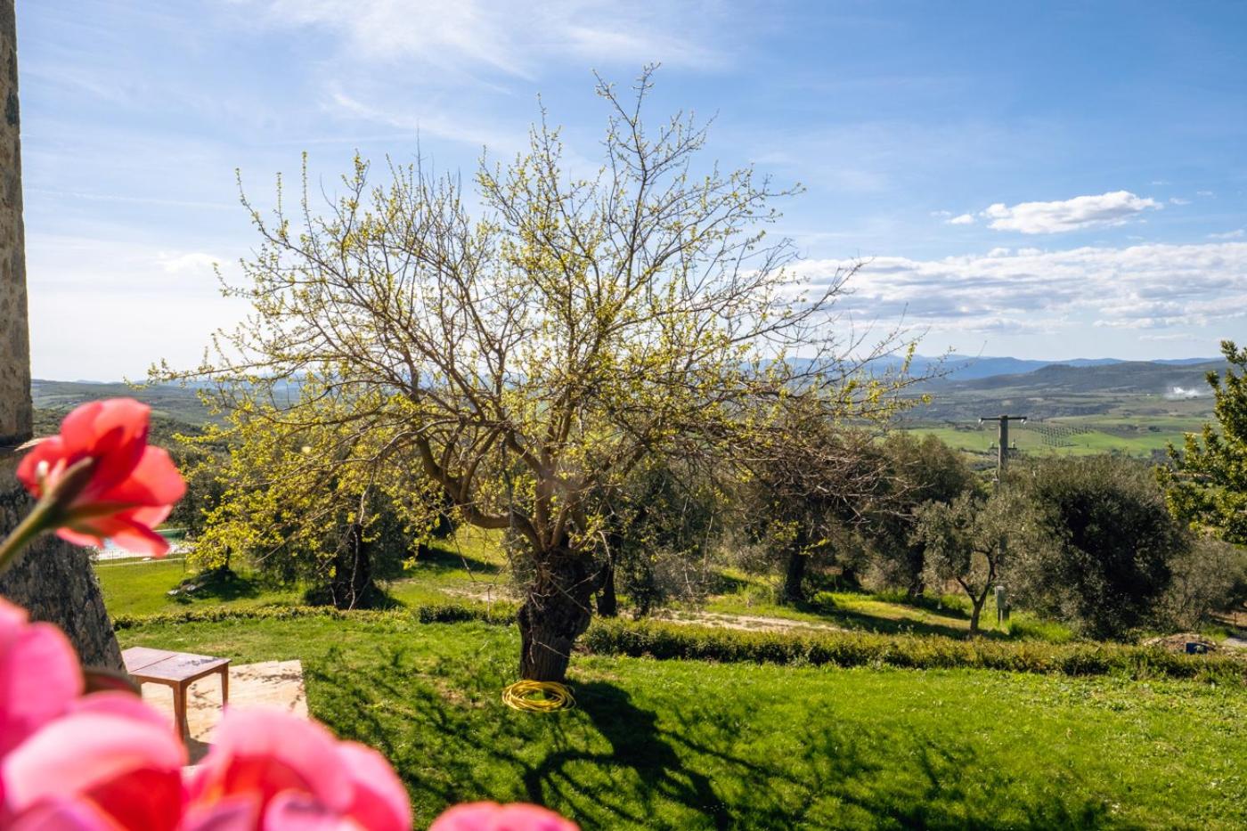 Podere Montale Il Borgo
