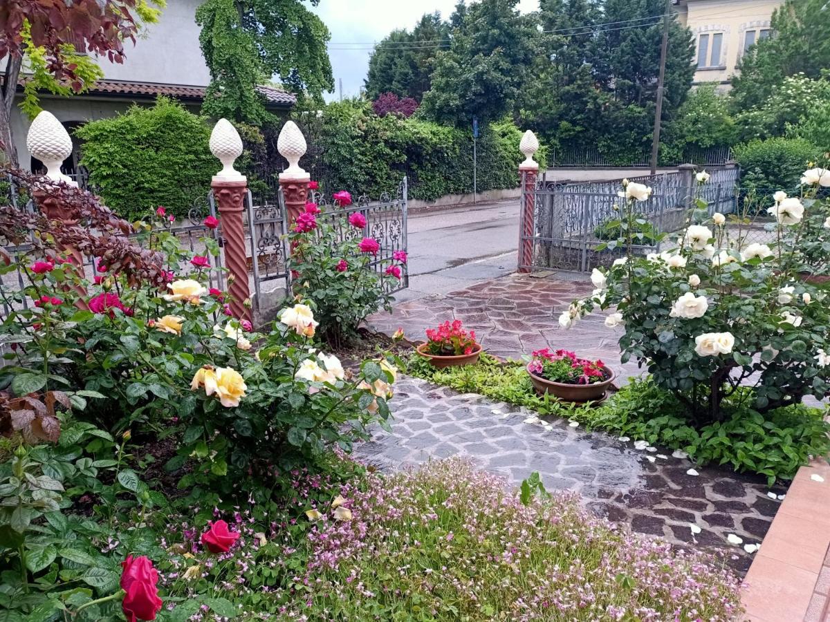 LILY - STORIE DEL BOSCO - view 5