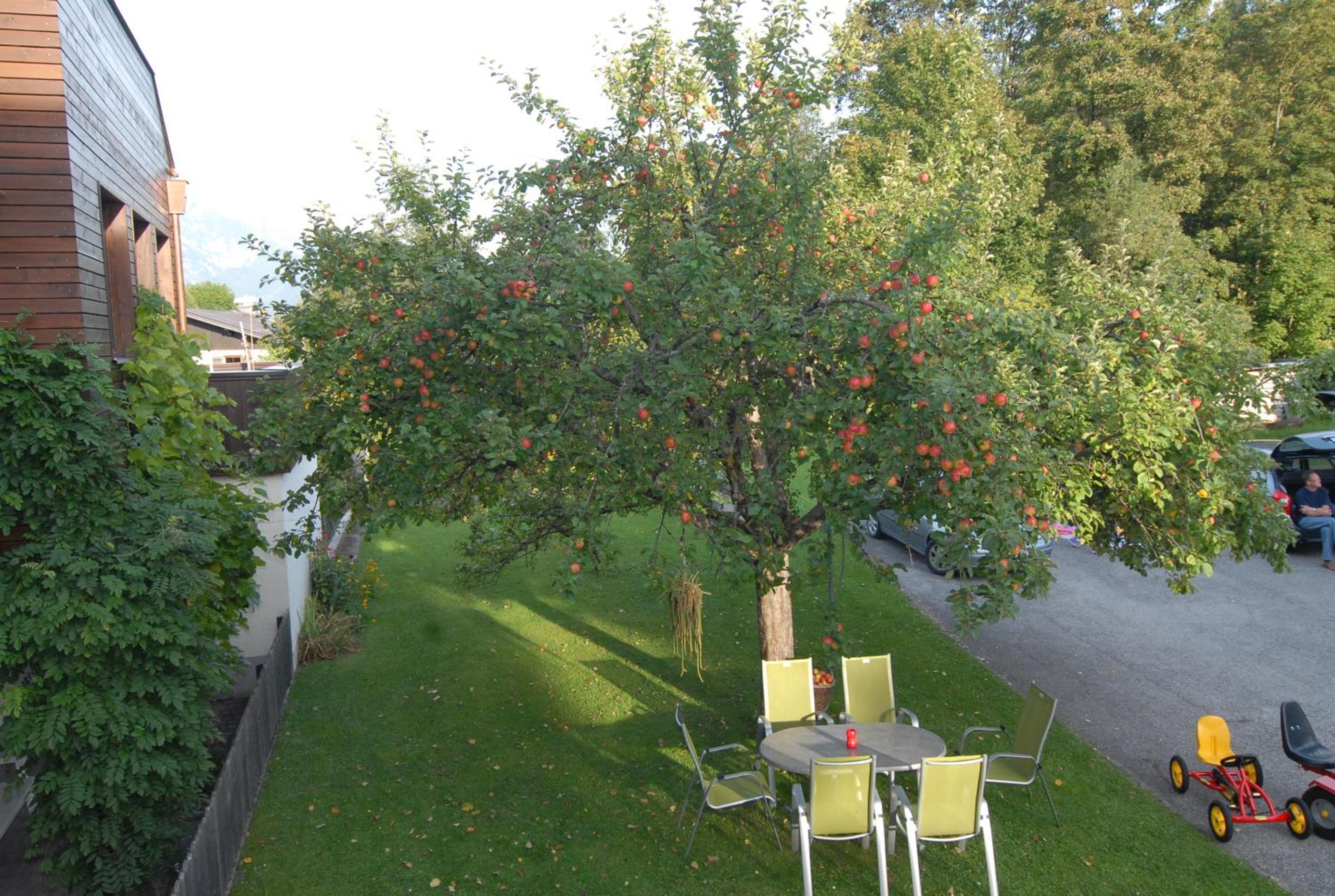 Ferienwohnung Stöckl