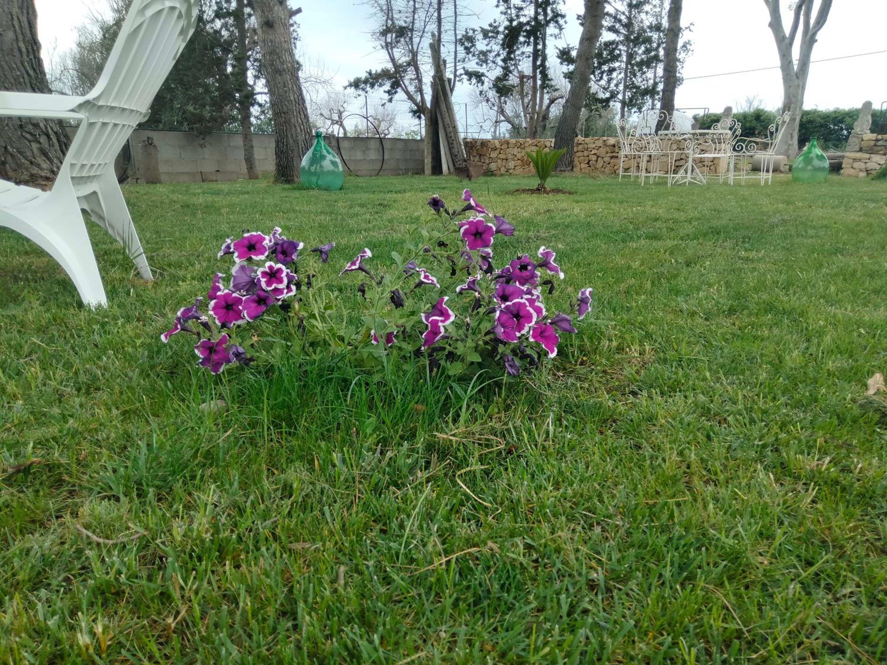 Giardino dei Baroni house