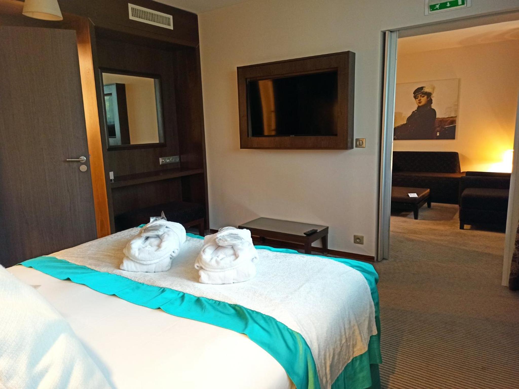 Montpellier Vacations - Crowne Plaza Montpellier Corum, an IHG Hotel - Property Image 41