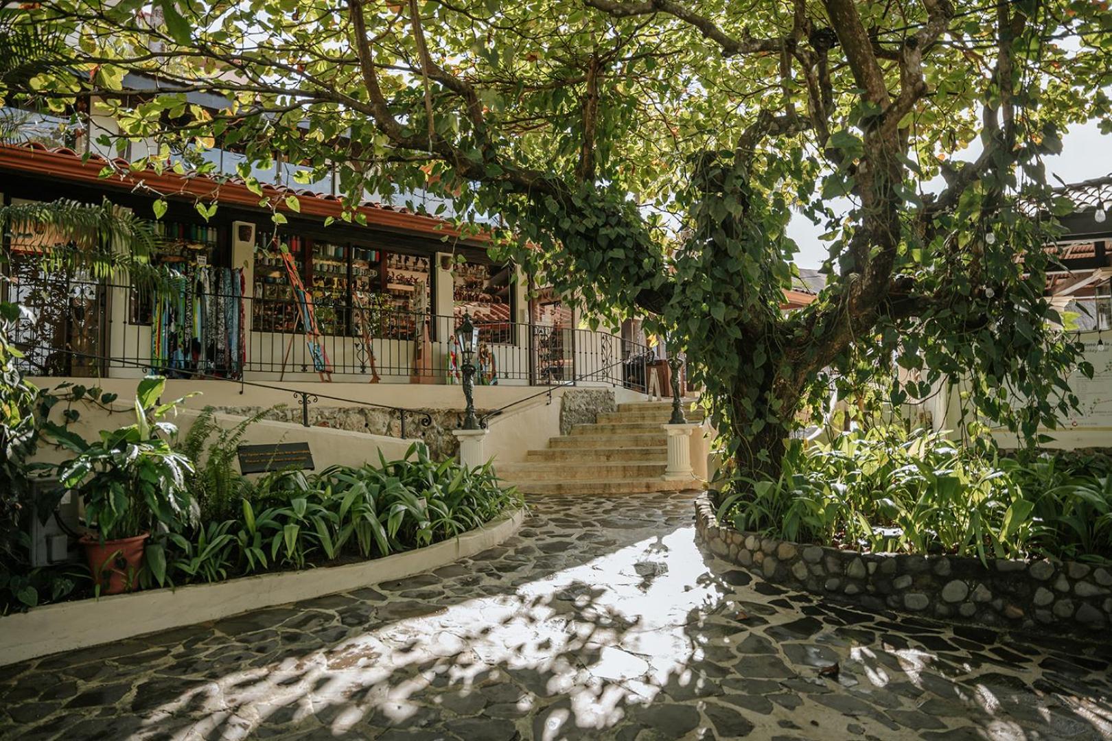 Parador Nature Resort and Spa view 5