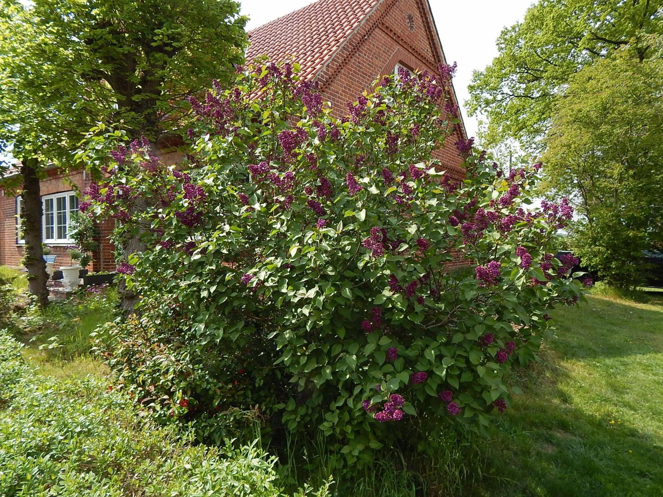 LANDHAUS LAAVE FERIENWOHNUNG