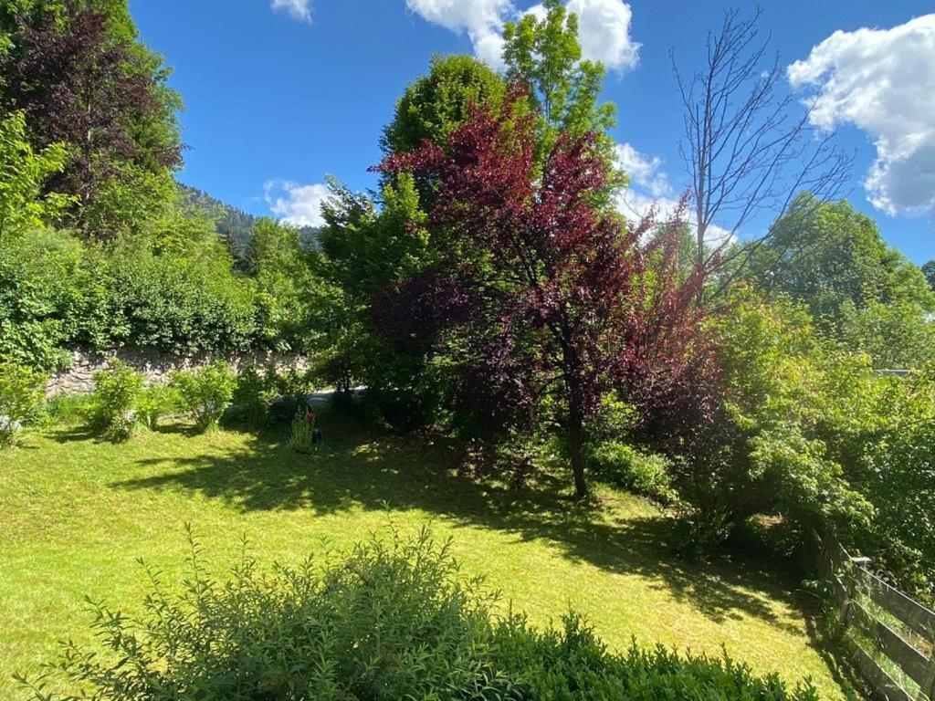 Buchensteinblick