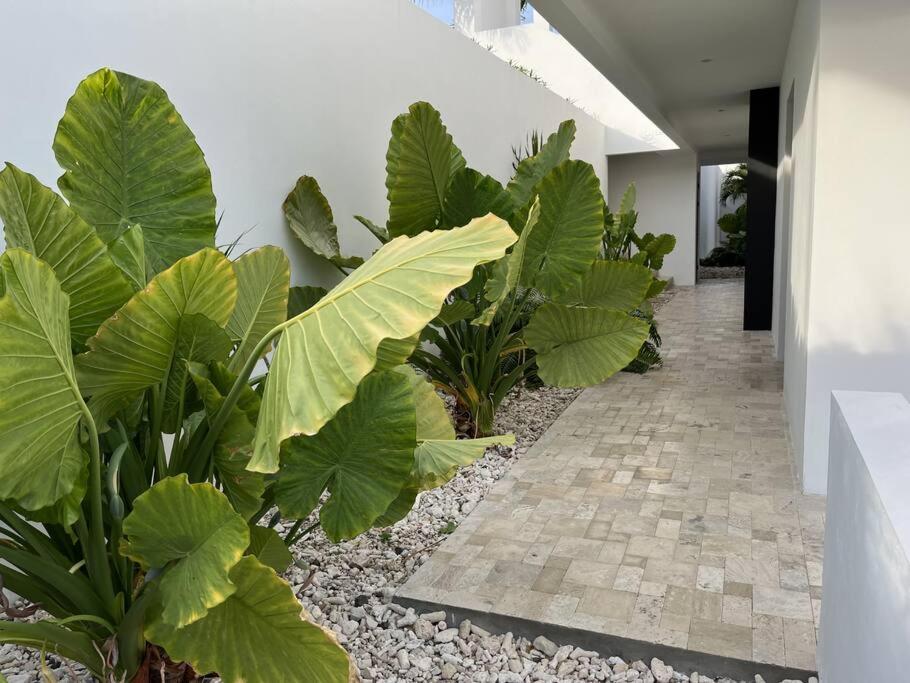 Reef View - Luxury apartment with seaview and pool