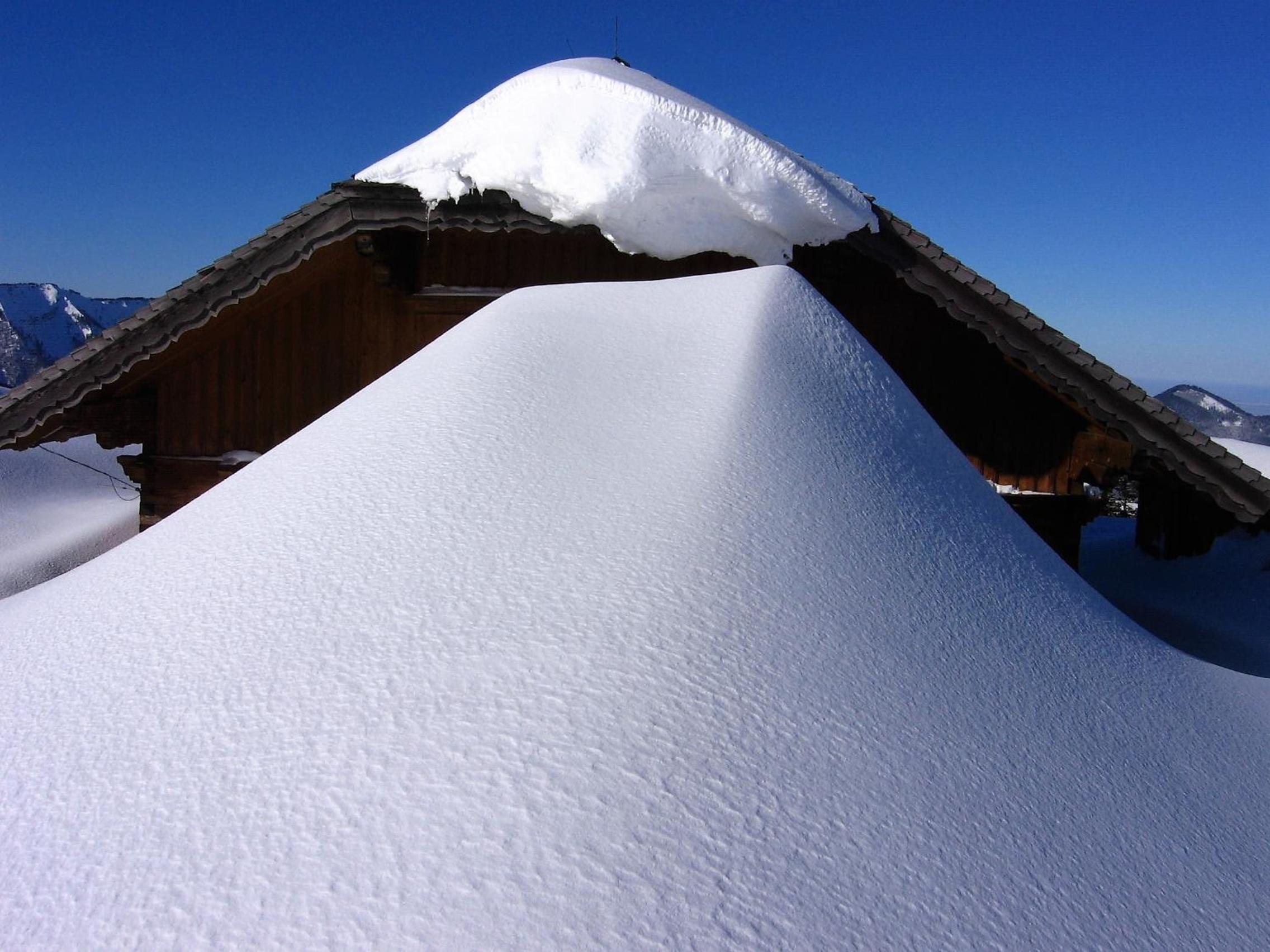Chalet 49 Nesselgraben - Ferienwohnungen aus Holz
