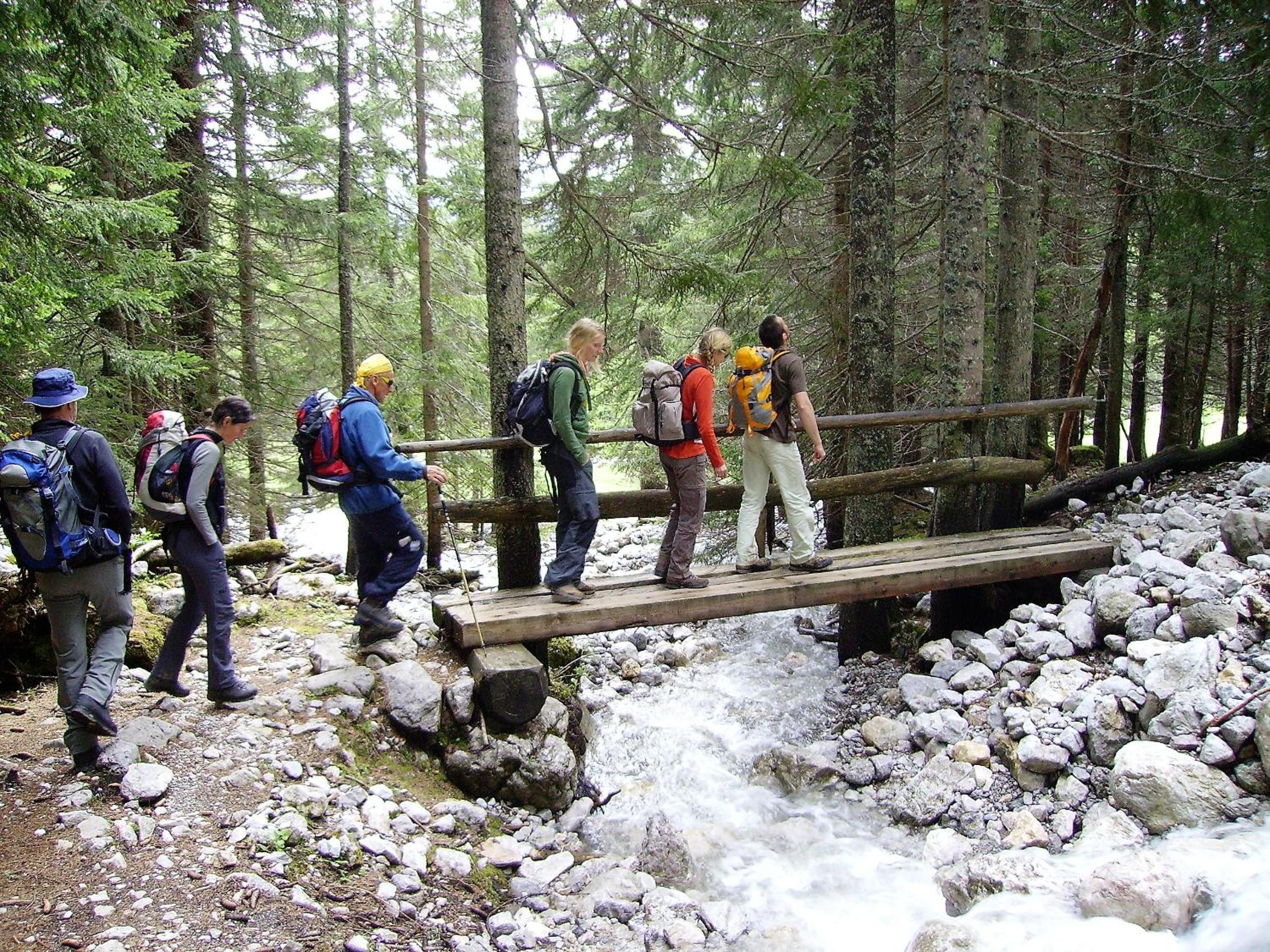 Chalet 49 Nesselgraben - Ferienwohnungen aus Holz