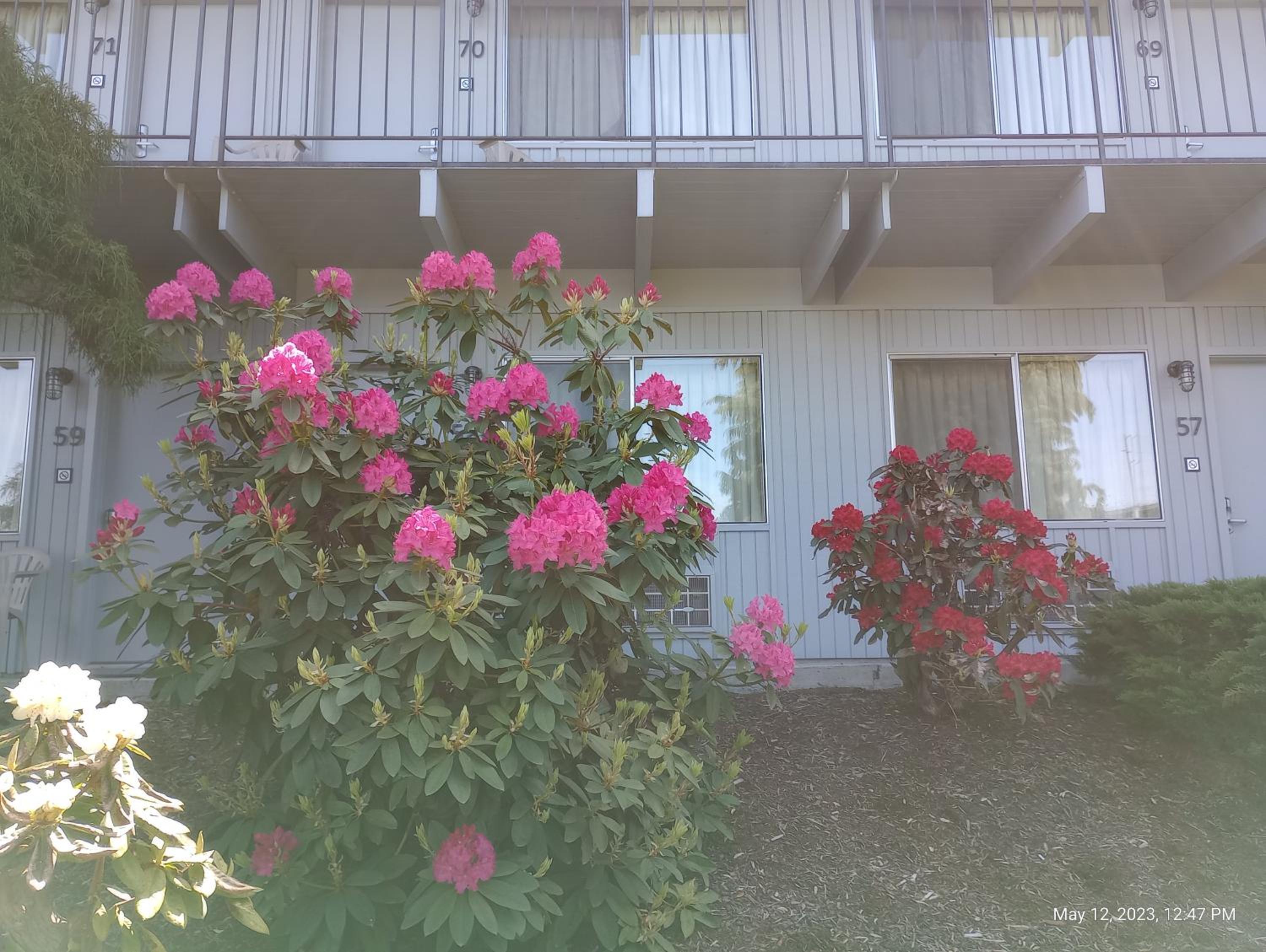 Cocusa Motel