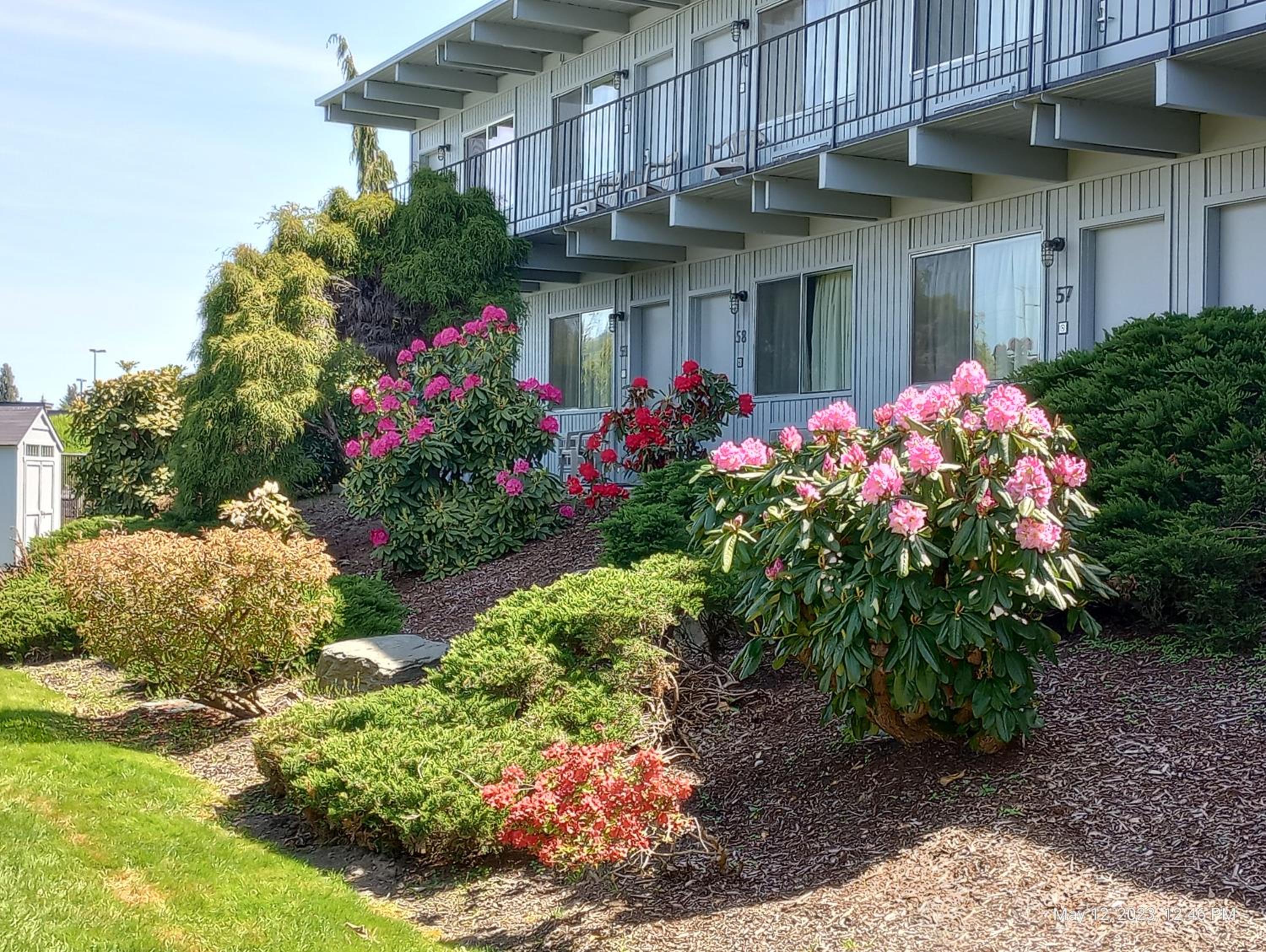 Cocusa Motel