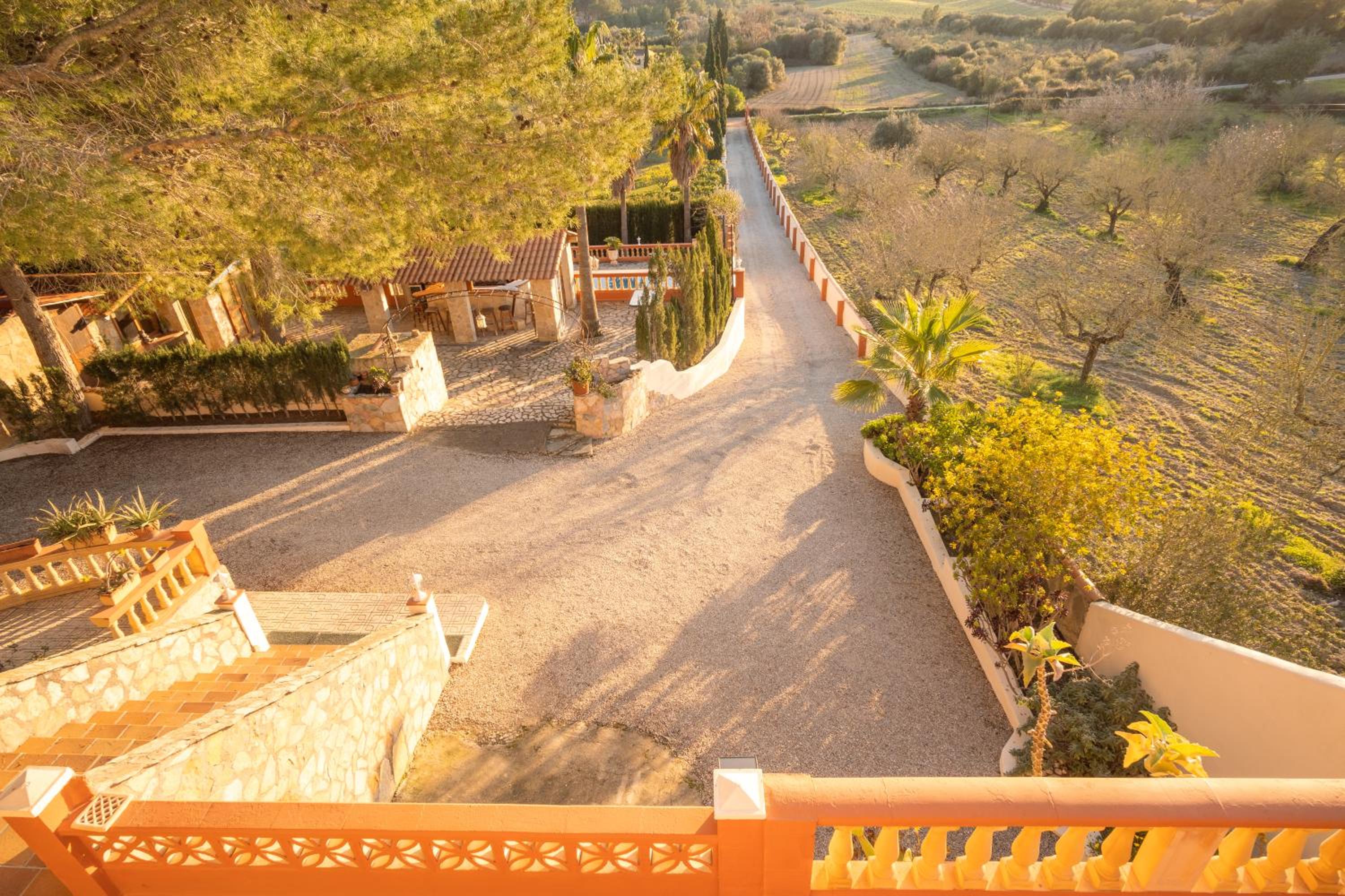 Finca Montana